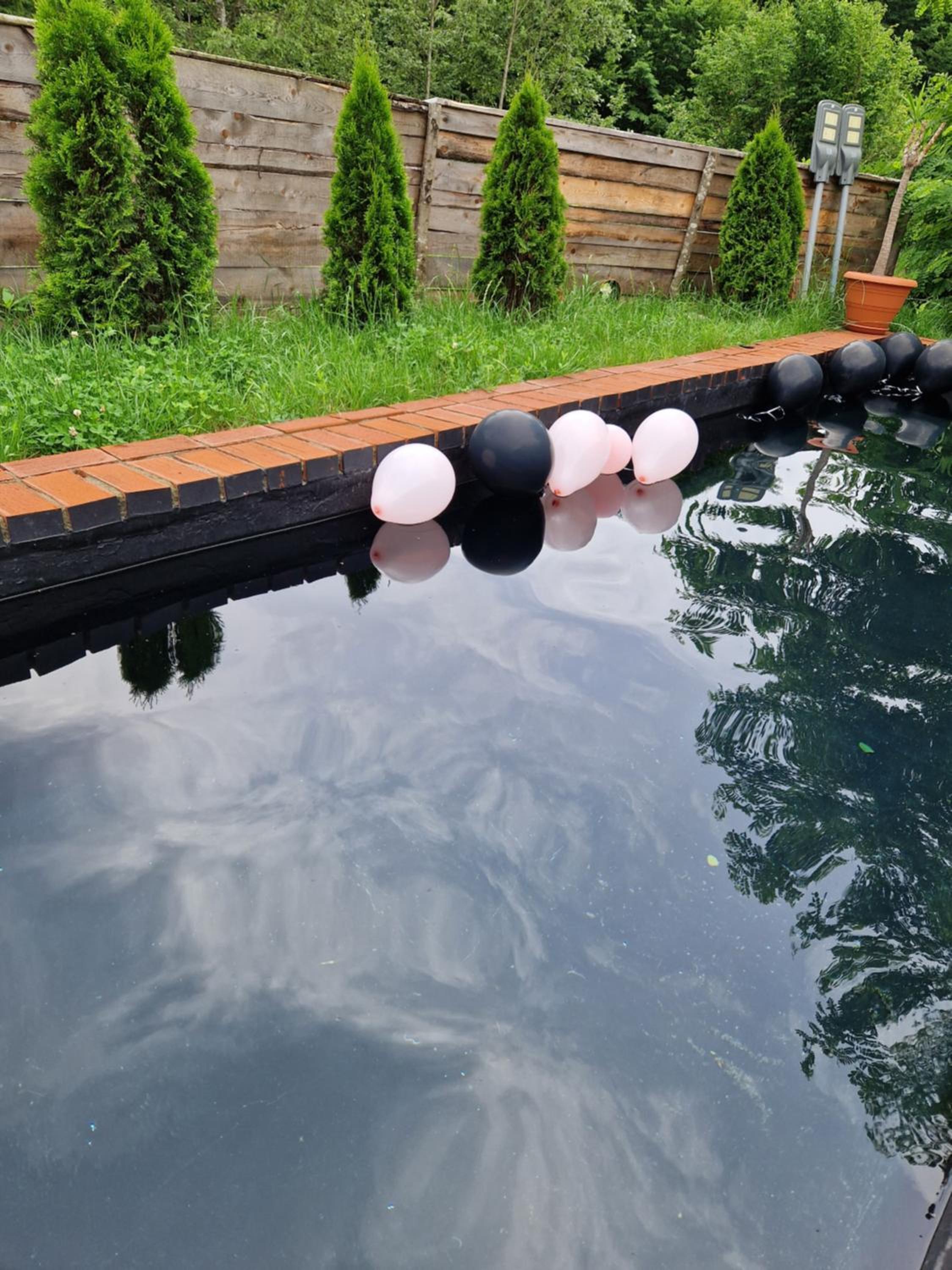 Porumbacu Mountain Views - Cabană cu Piscină