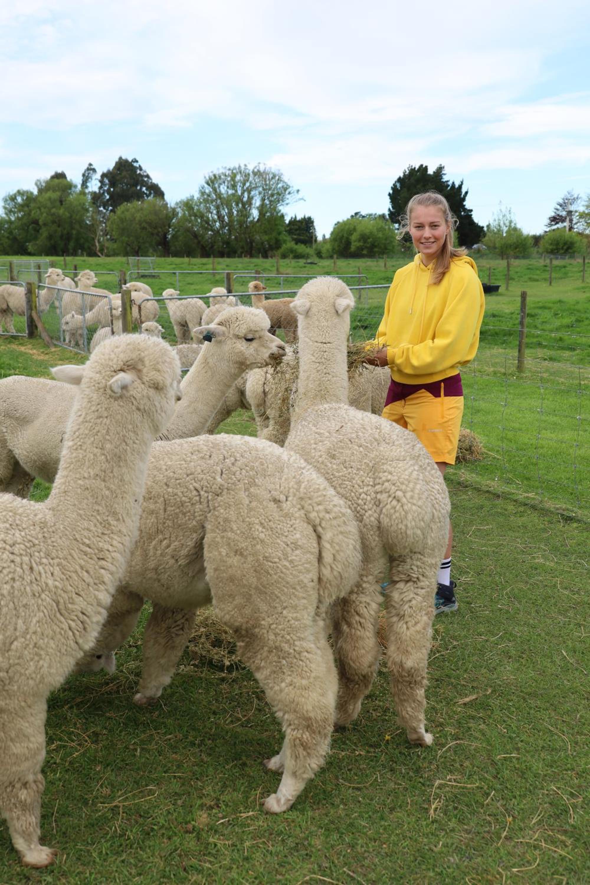 Silverstream Alpaca Farmstay & Tour