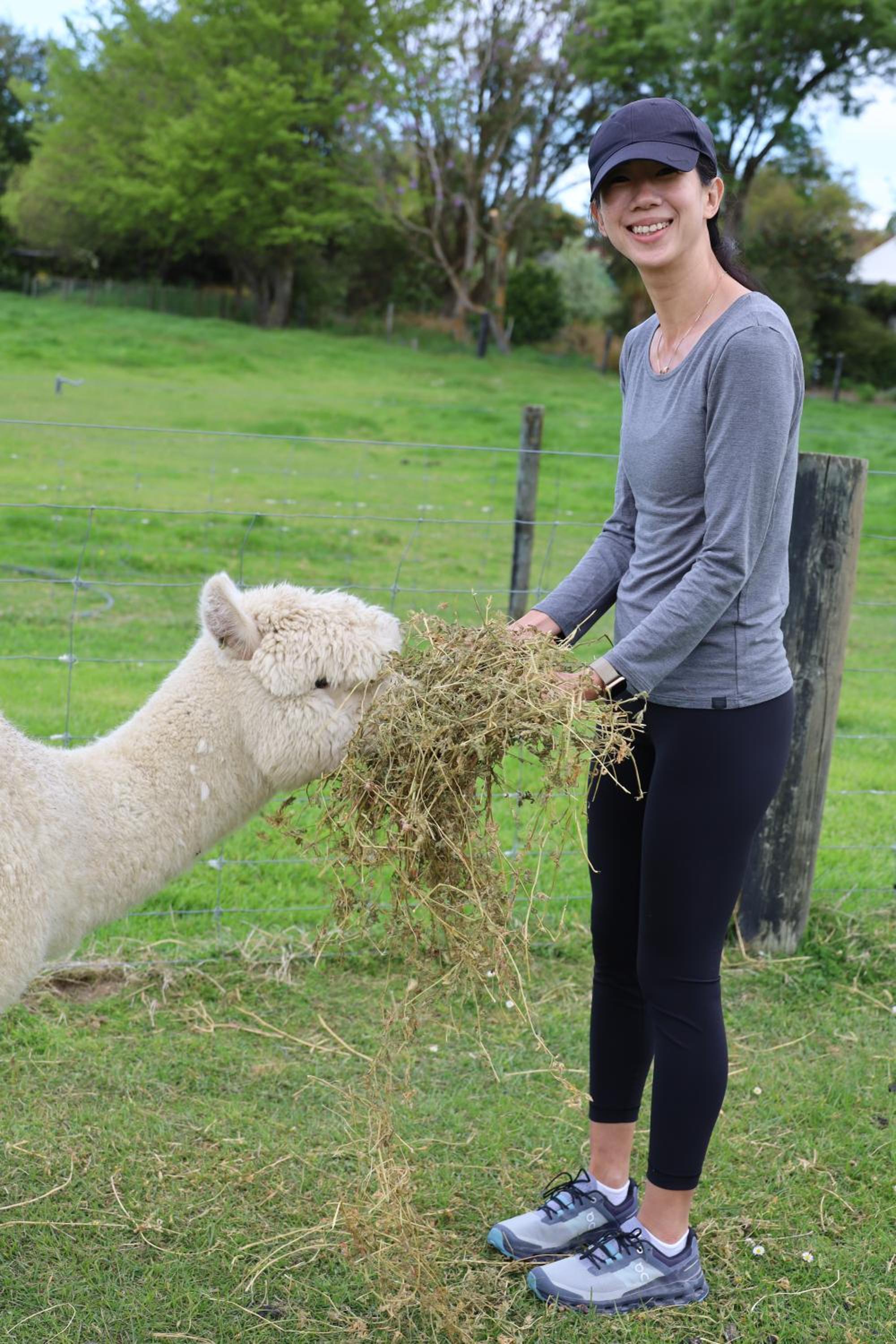 Silverstream Alpaca Farmstay & Tour