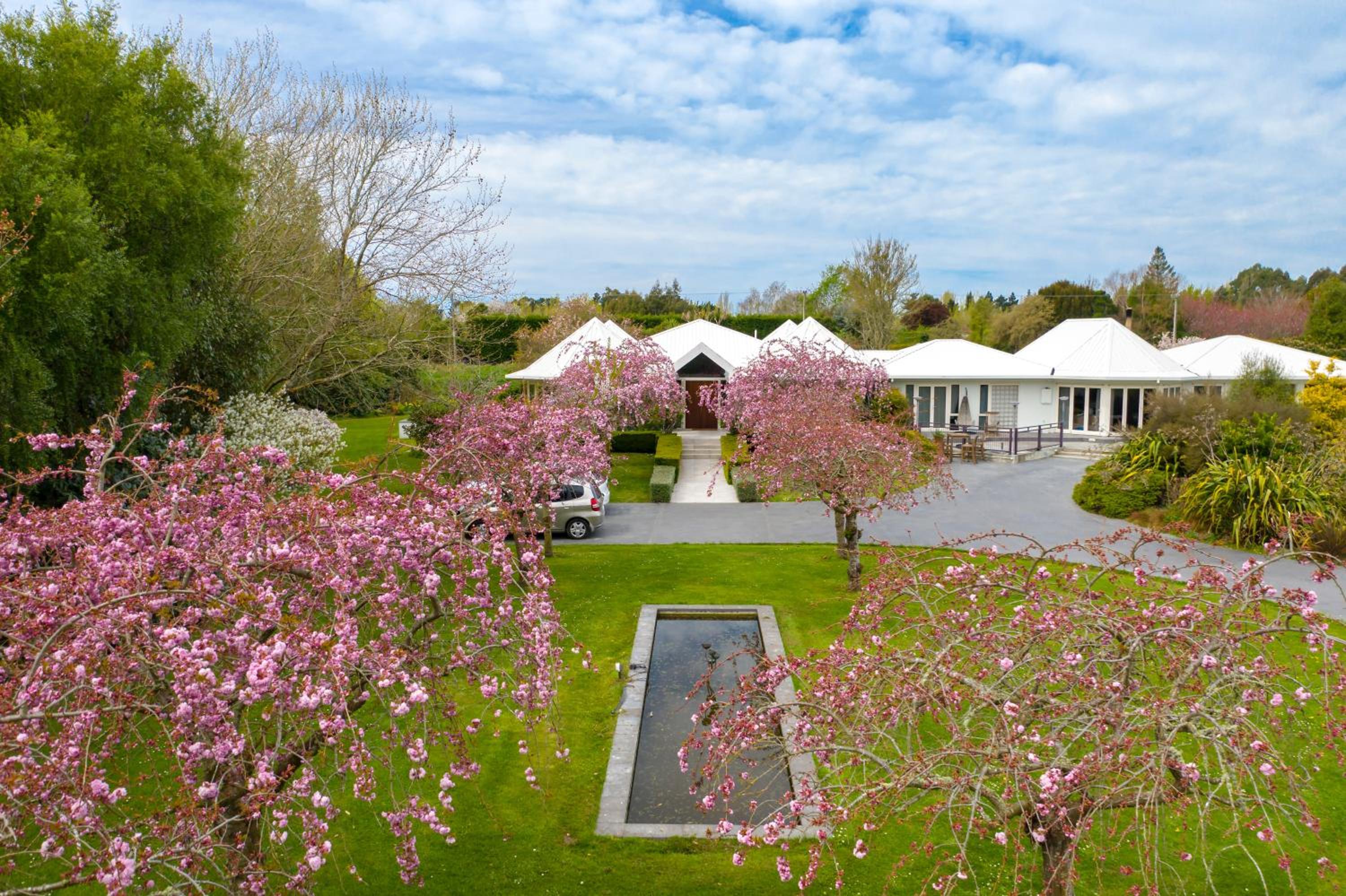 Silverstream Alpaca Farmstay & Tour