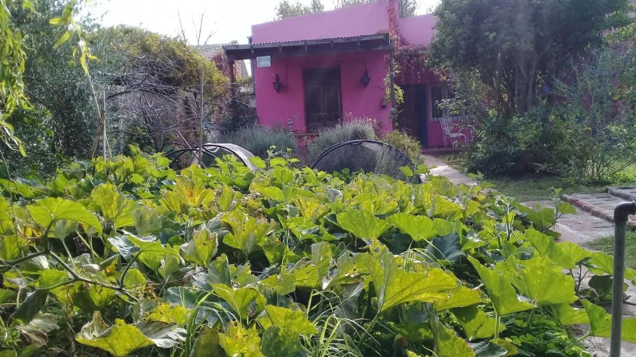 Hostel La Puerta Amarilla