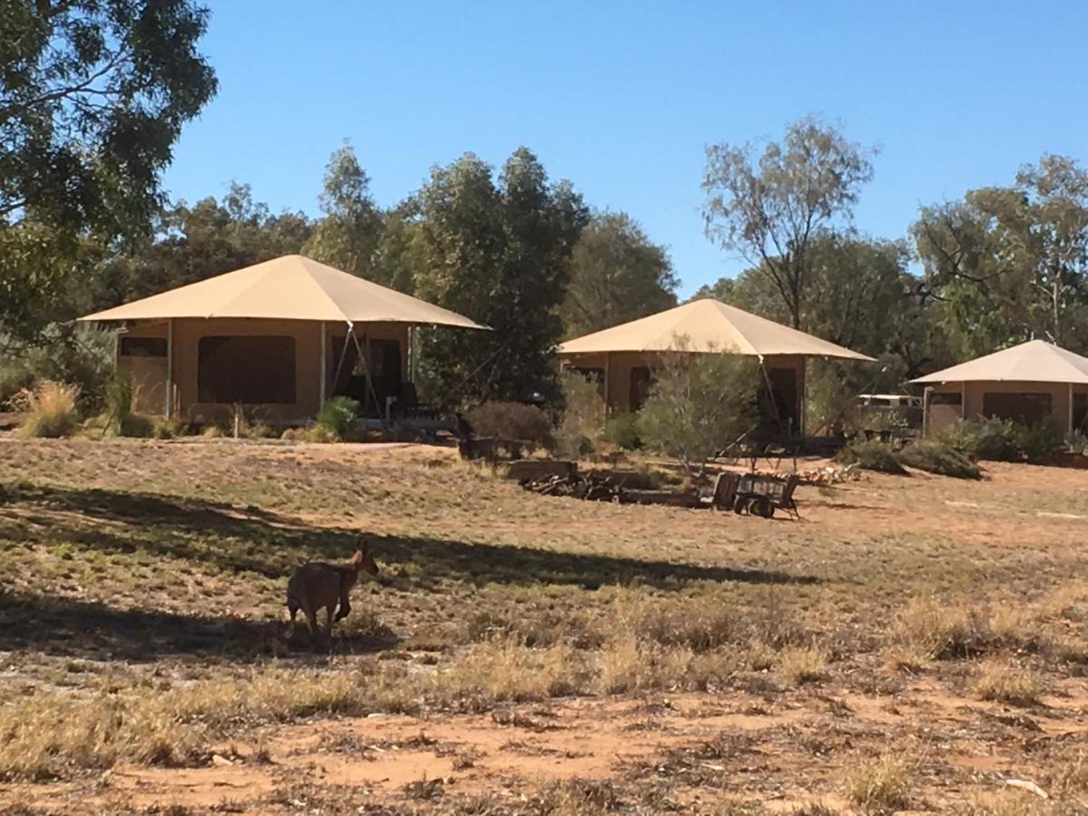 Alice Springs Vacations - Squeakywindmill Boutique Tent BB - Property Image 1