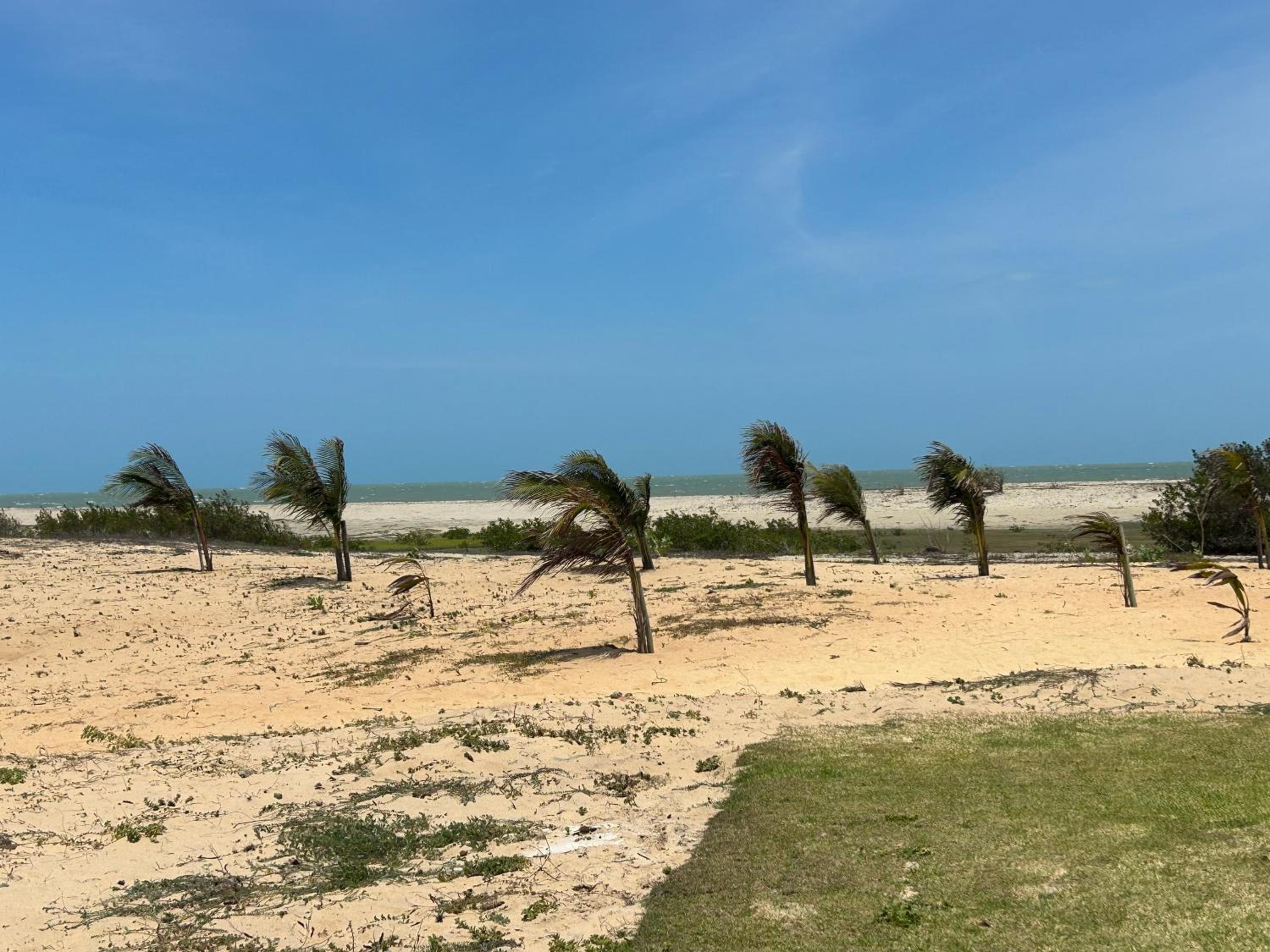 Chaleville Barrinha