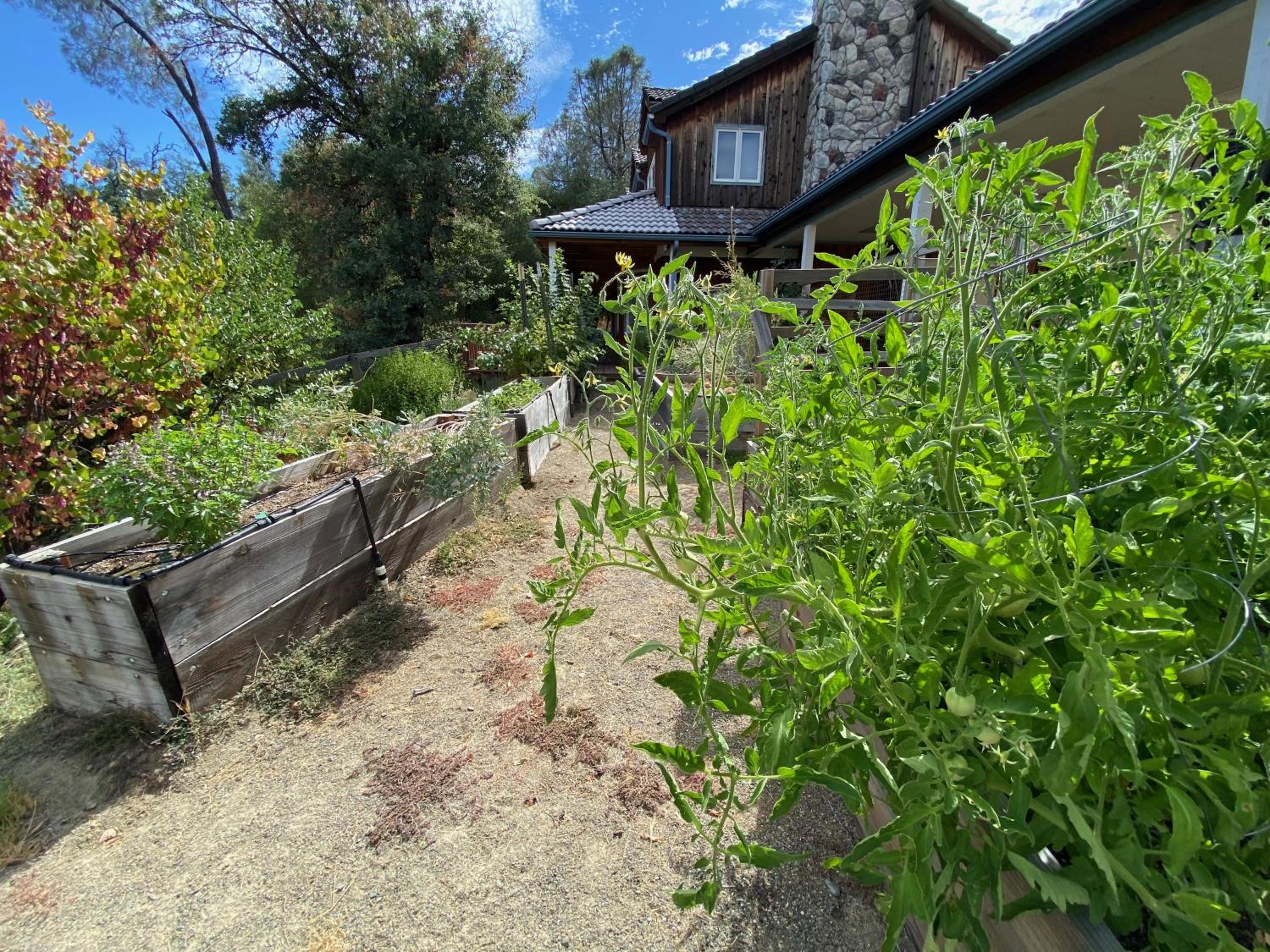 Photo 6