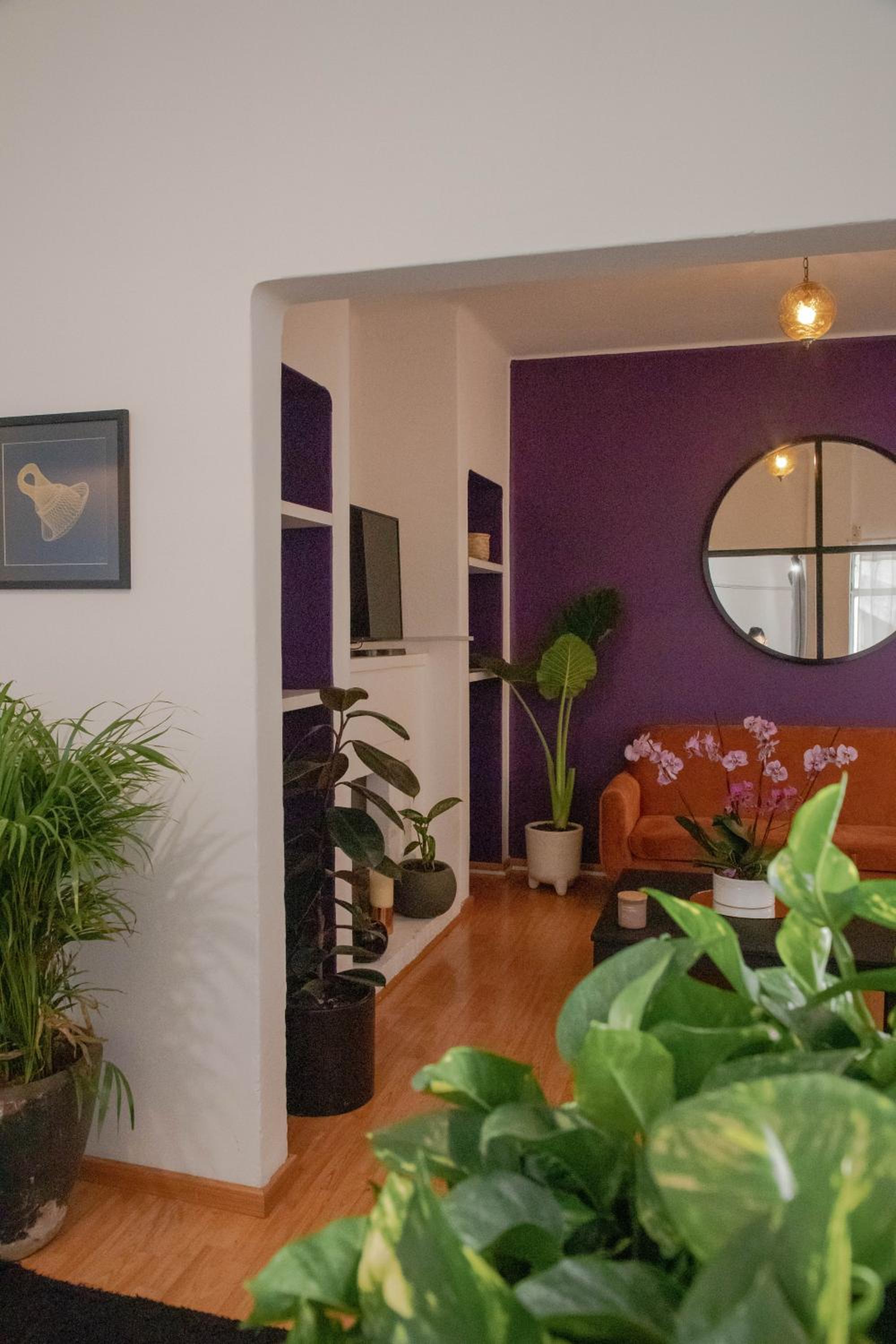Panal Studio. Interior design spot in Roma Norte photo 5