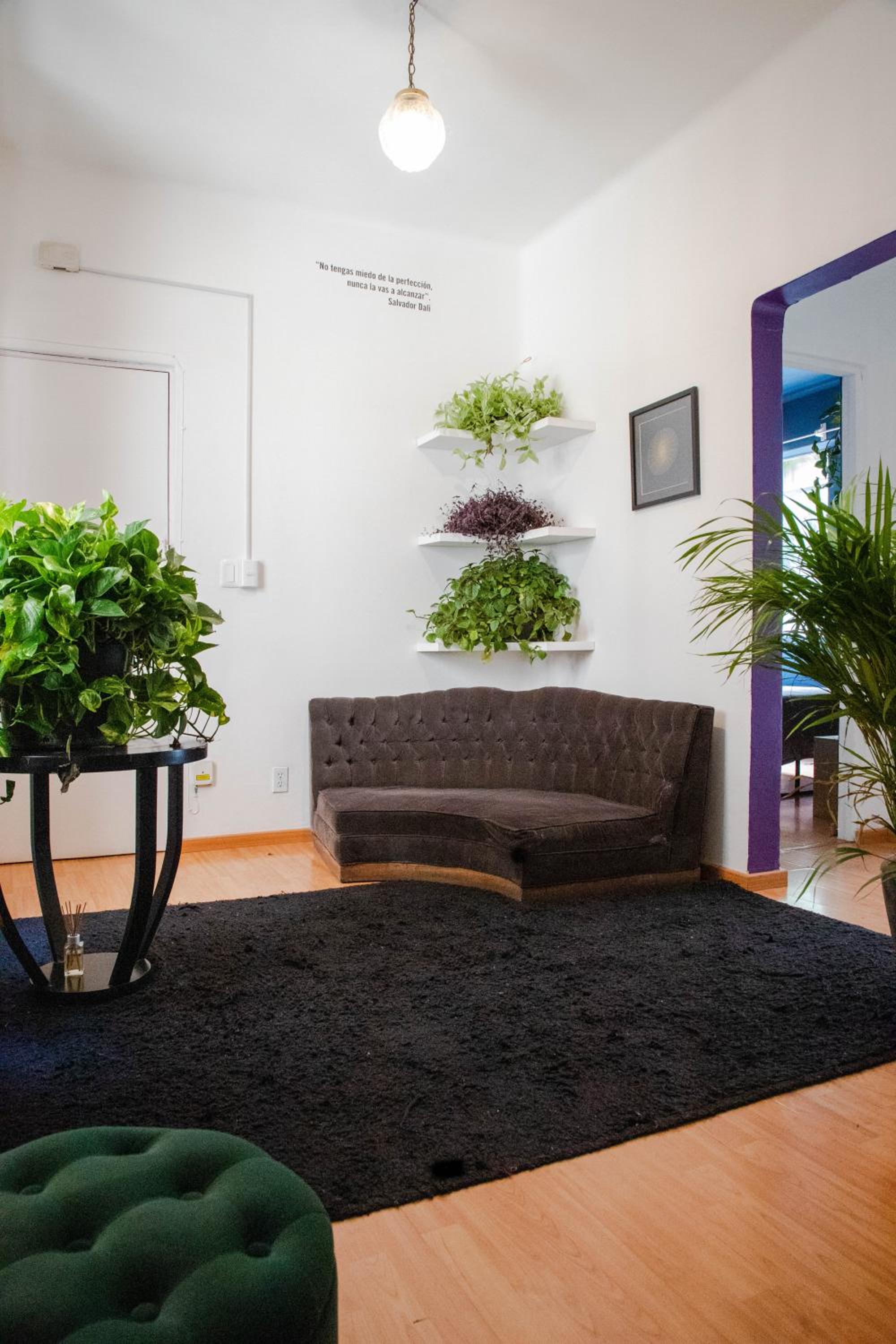 Panal Studio. Interior design spot in Roma Norte photo 3