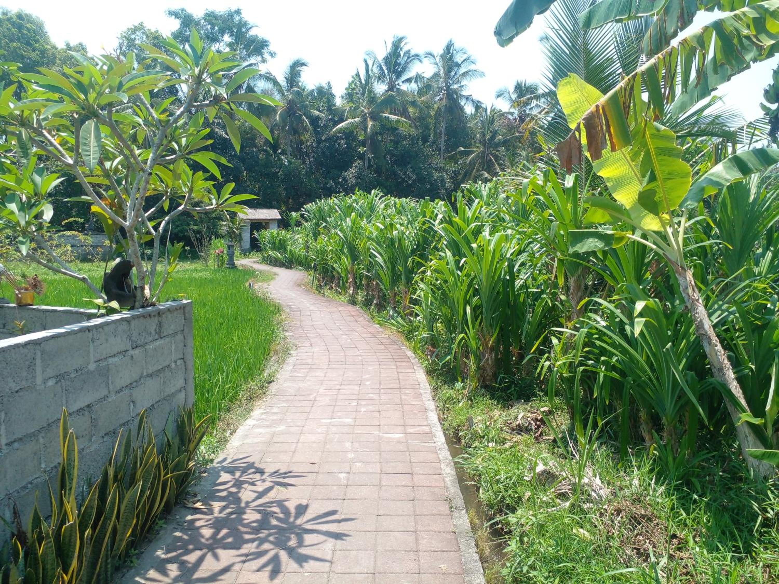 BaliFarmhouse