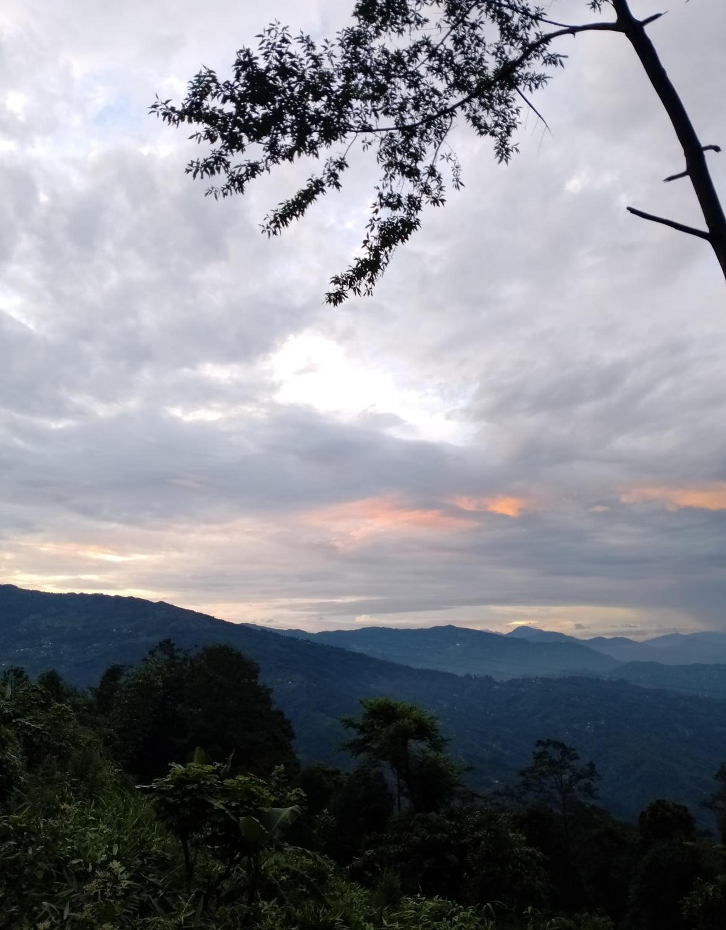 Baralung homestay