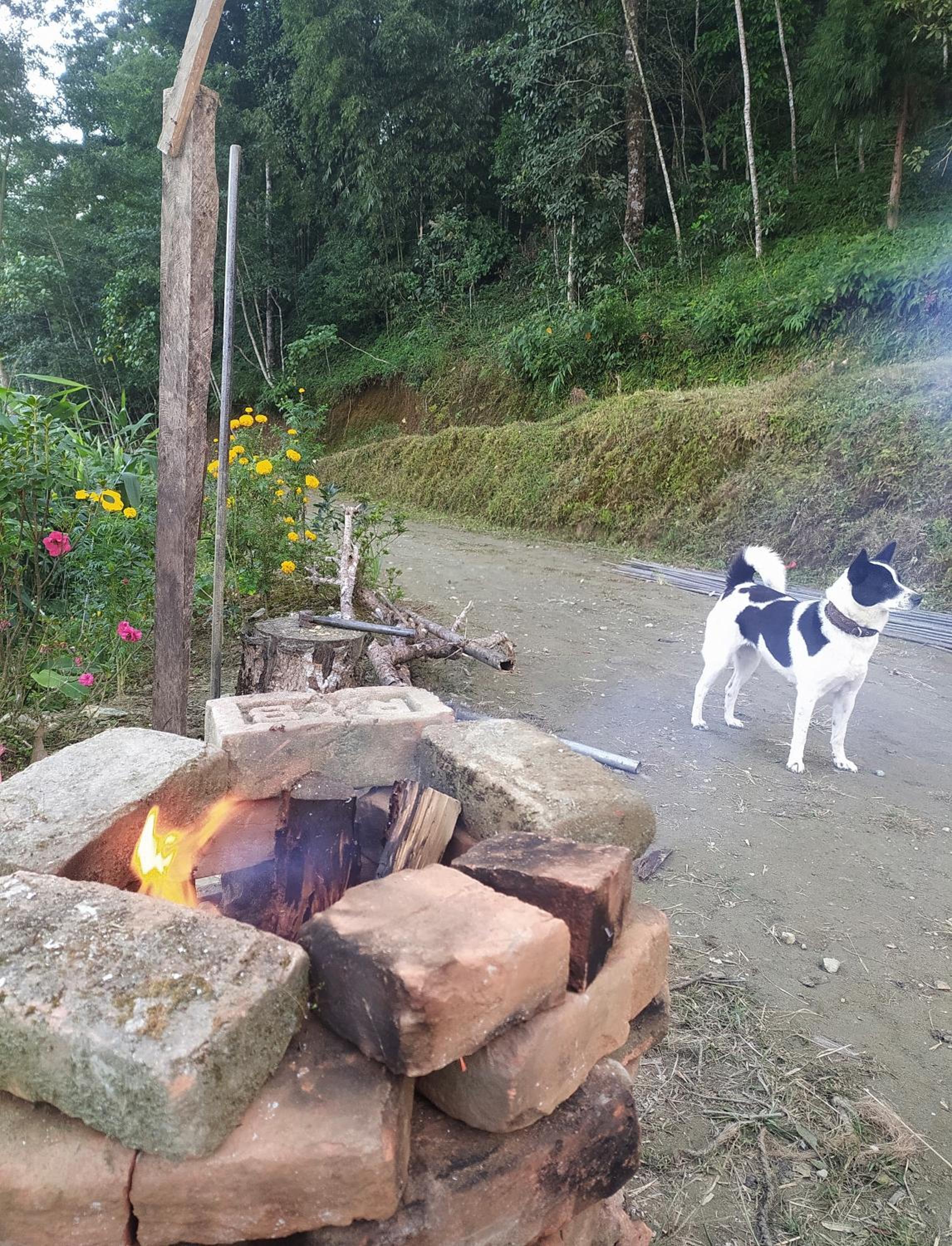 Baralung homestay