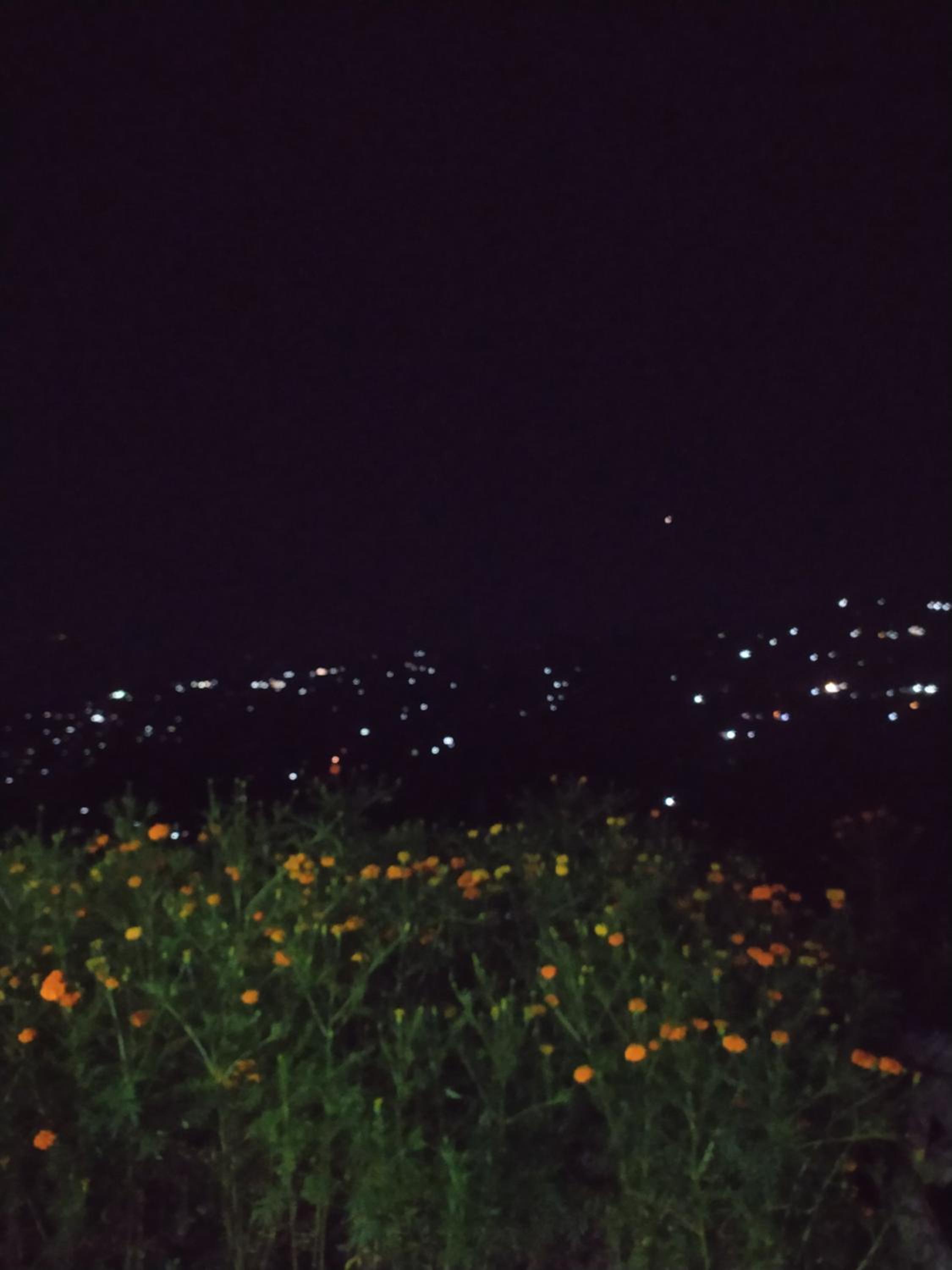 Baralung homestay