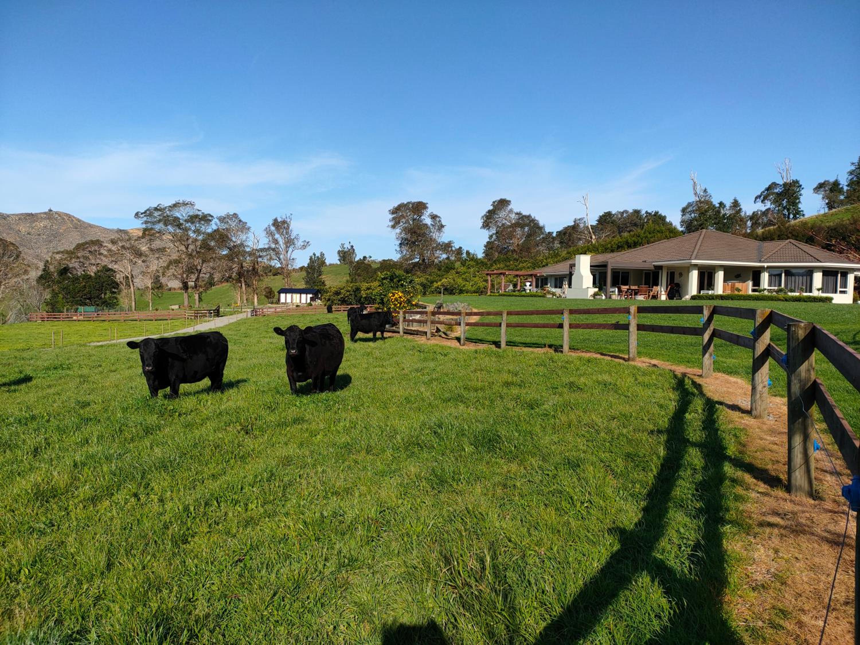 Avocate' Cottage view 3