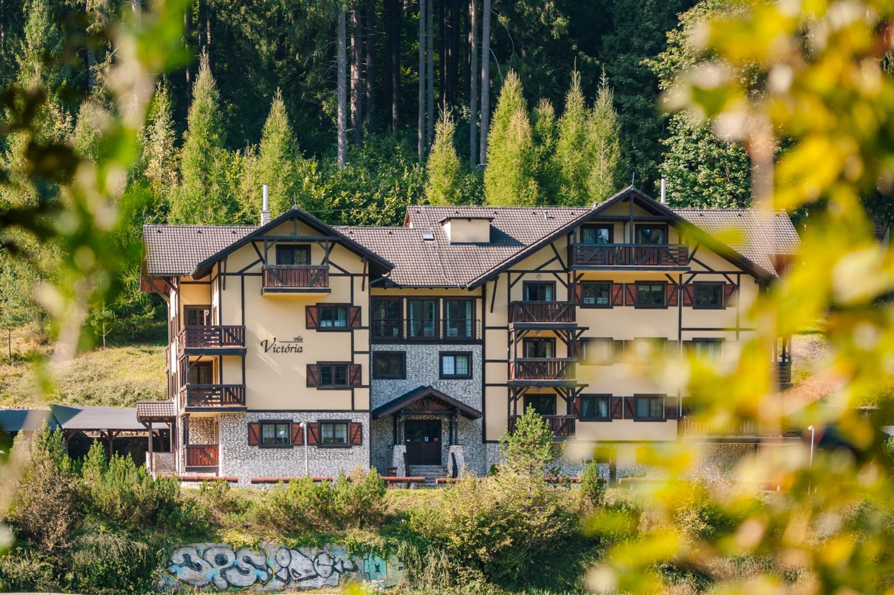 Vila Viktória - Apartmán Viktória 2