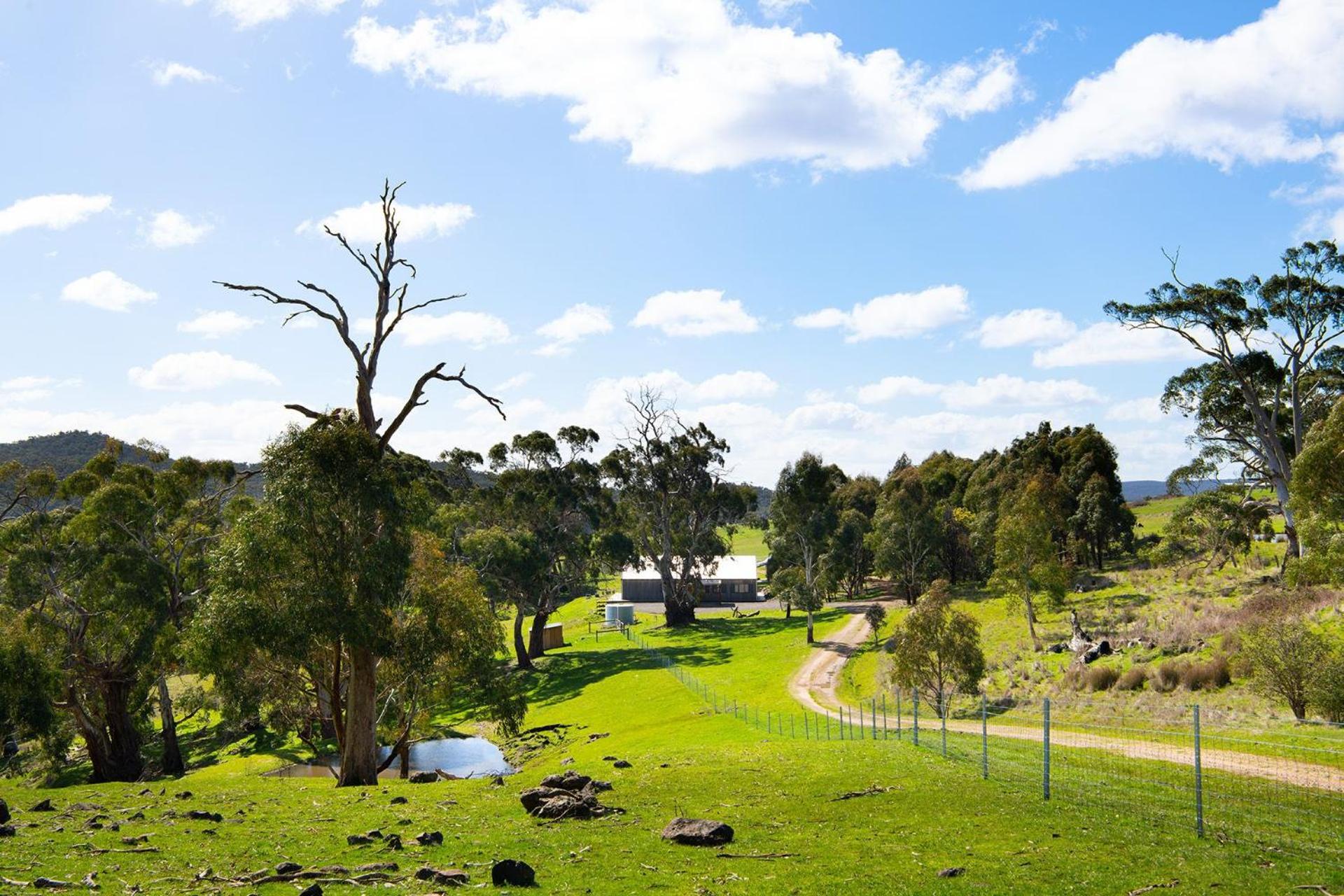 Loddon Paddock