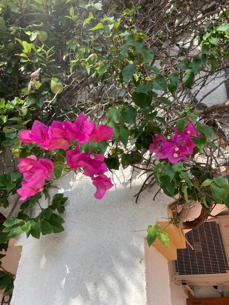 Casa Hermosa Mijas