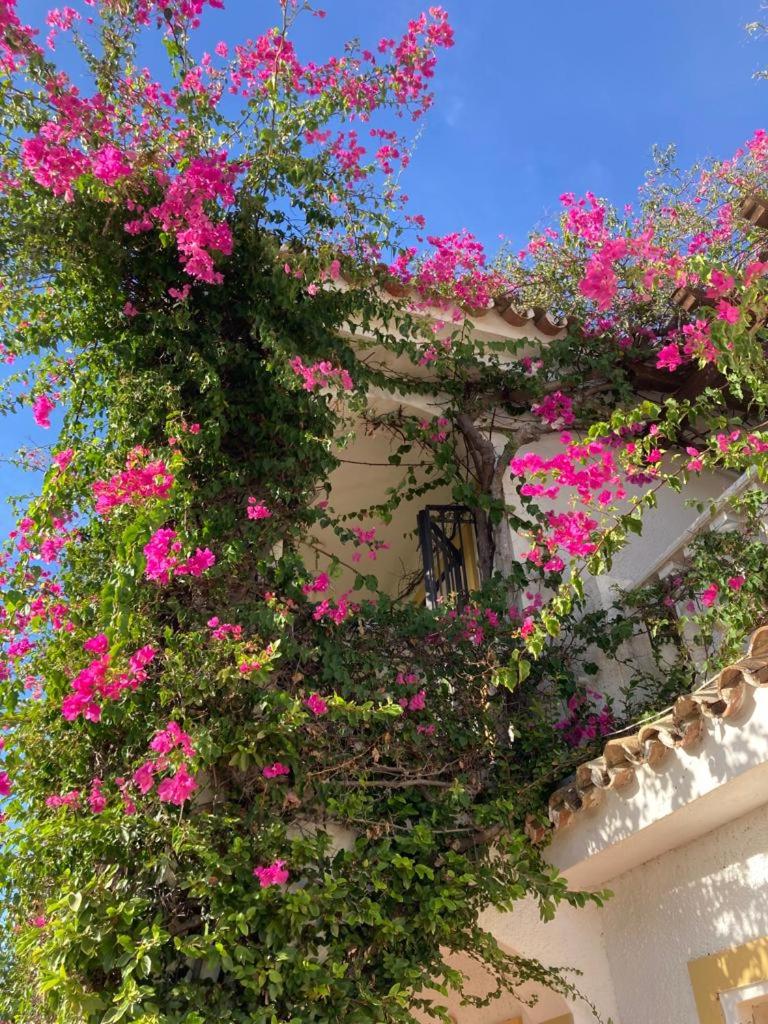 Casa Hermosa Mijas