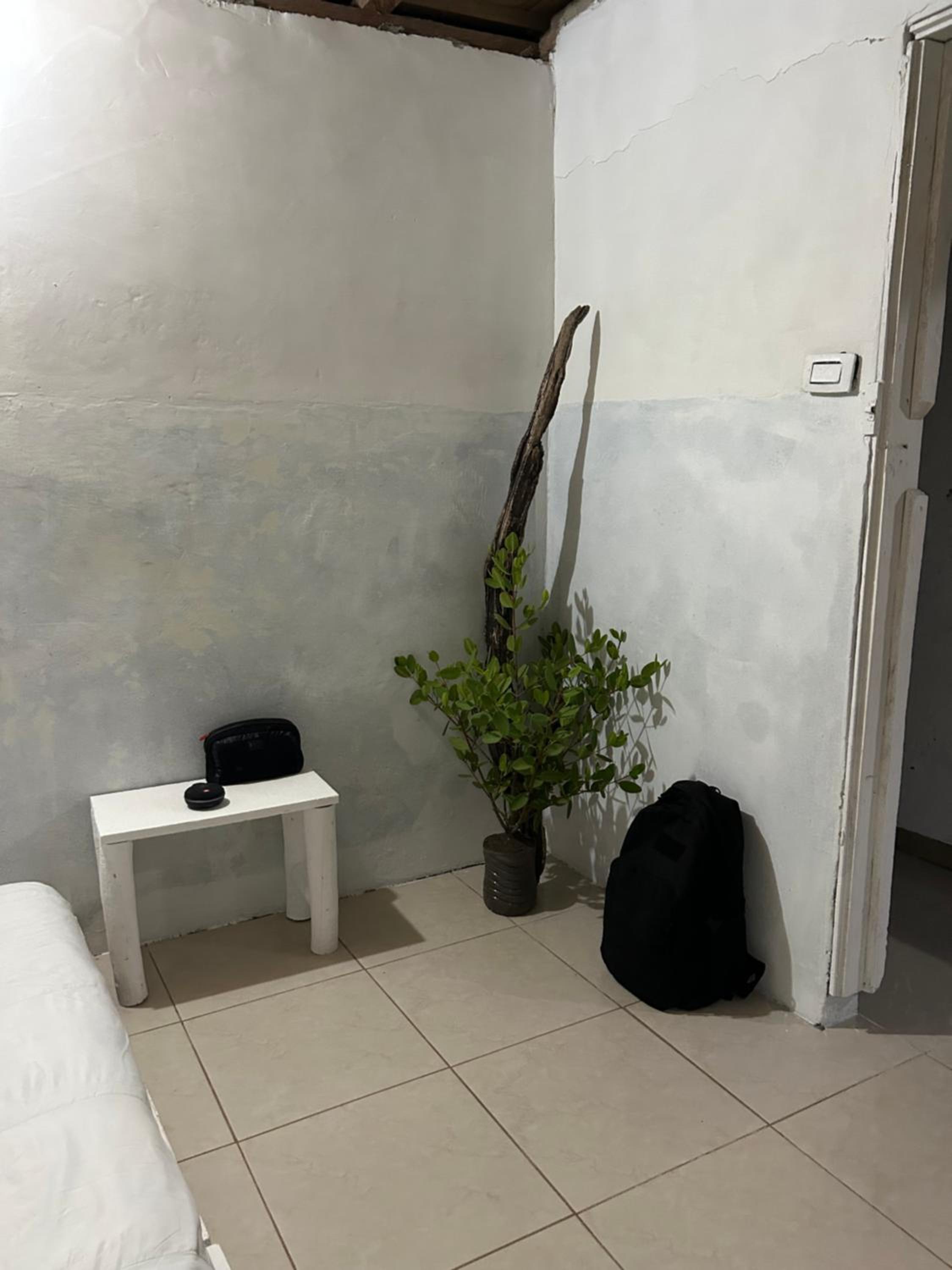 Punta Arena EcoHostal and EcoFit: An Eco-Friendly Oasis for Adventurous Explorers and Serenity Seekers