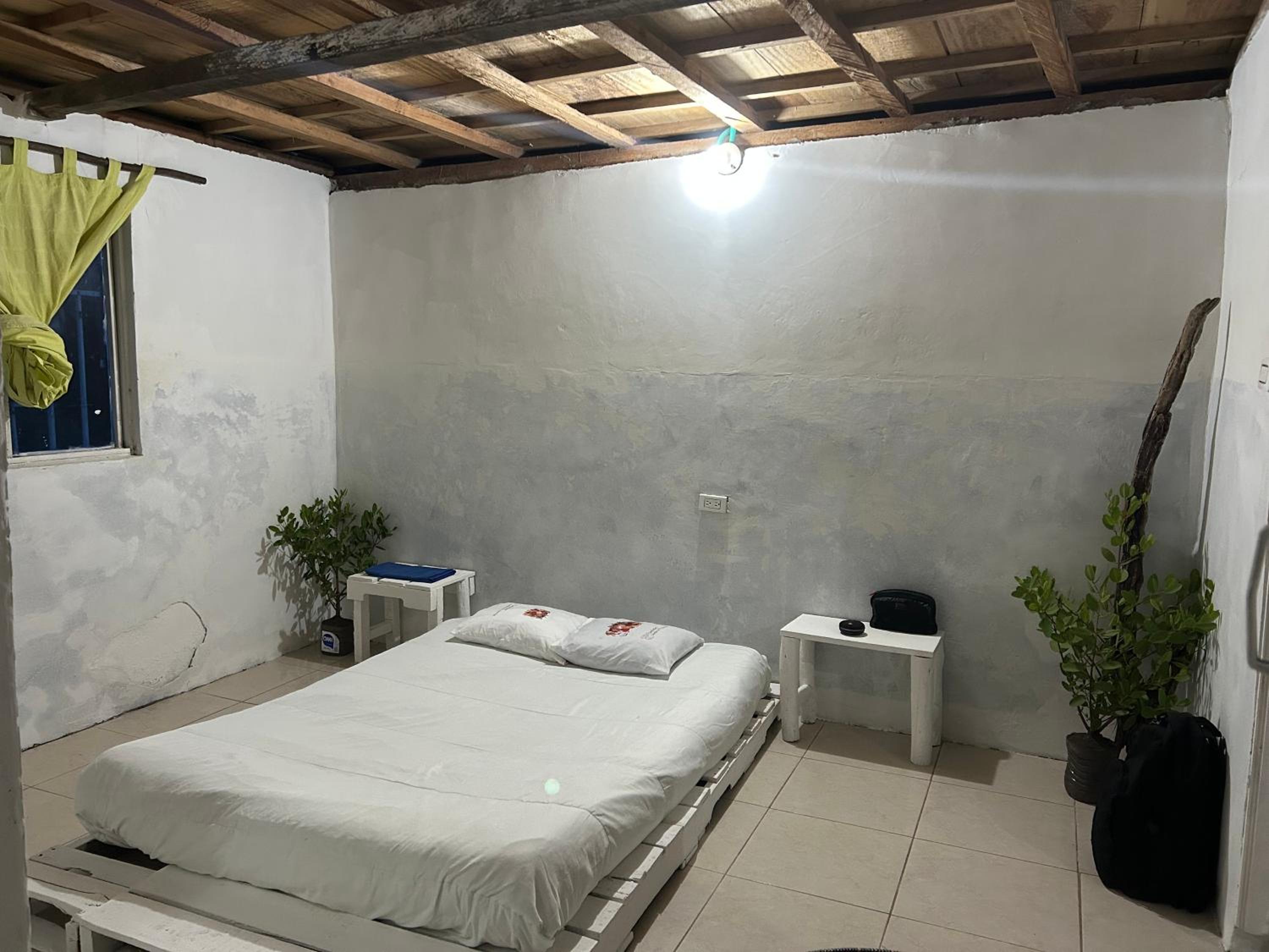 Punta Arena EcoHostal and EcoFit: An Eco-Friendly Oasis for Adventurous Explorers and Serenity Seekers