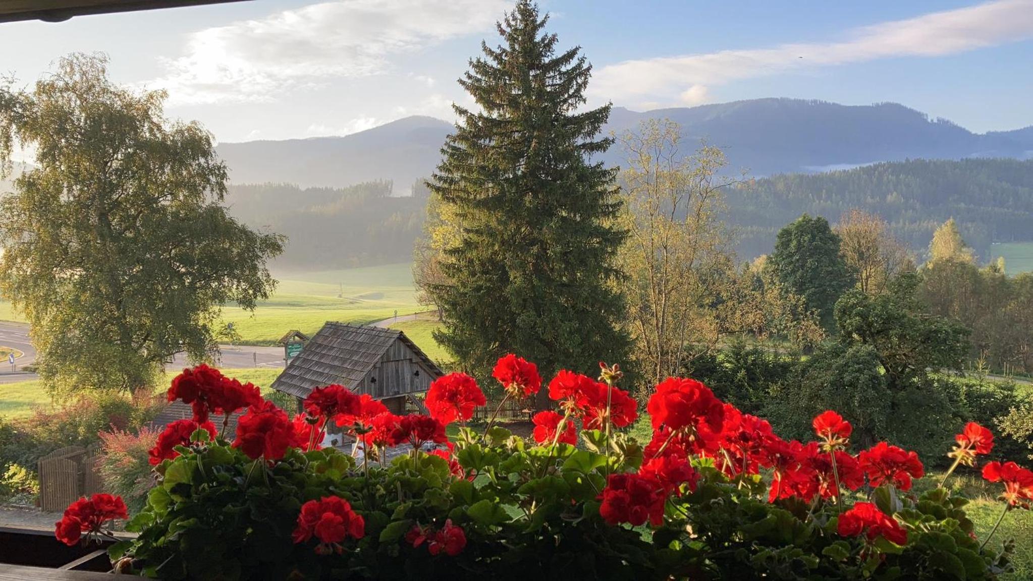Ferienwohnungen Hotel Garni Dörflerwirt