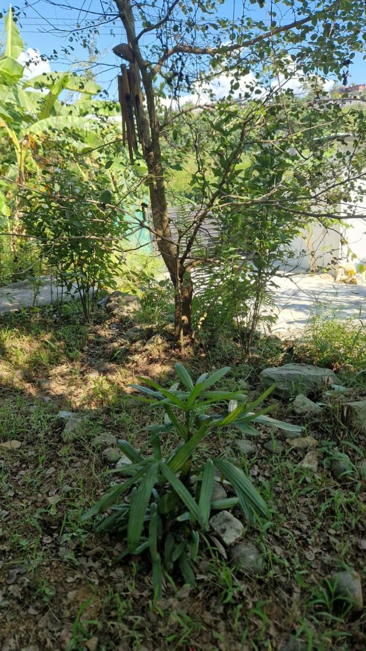 Photo 21