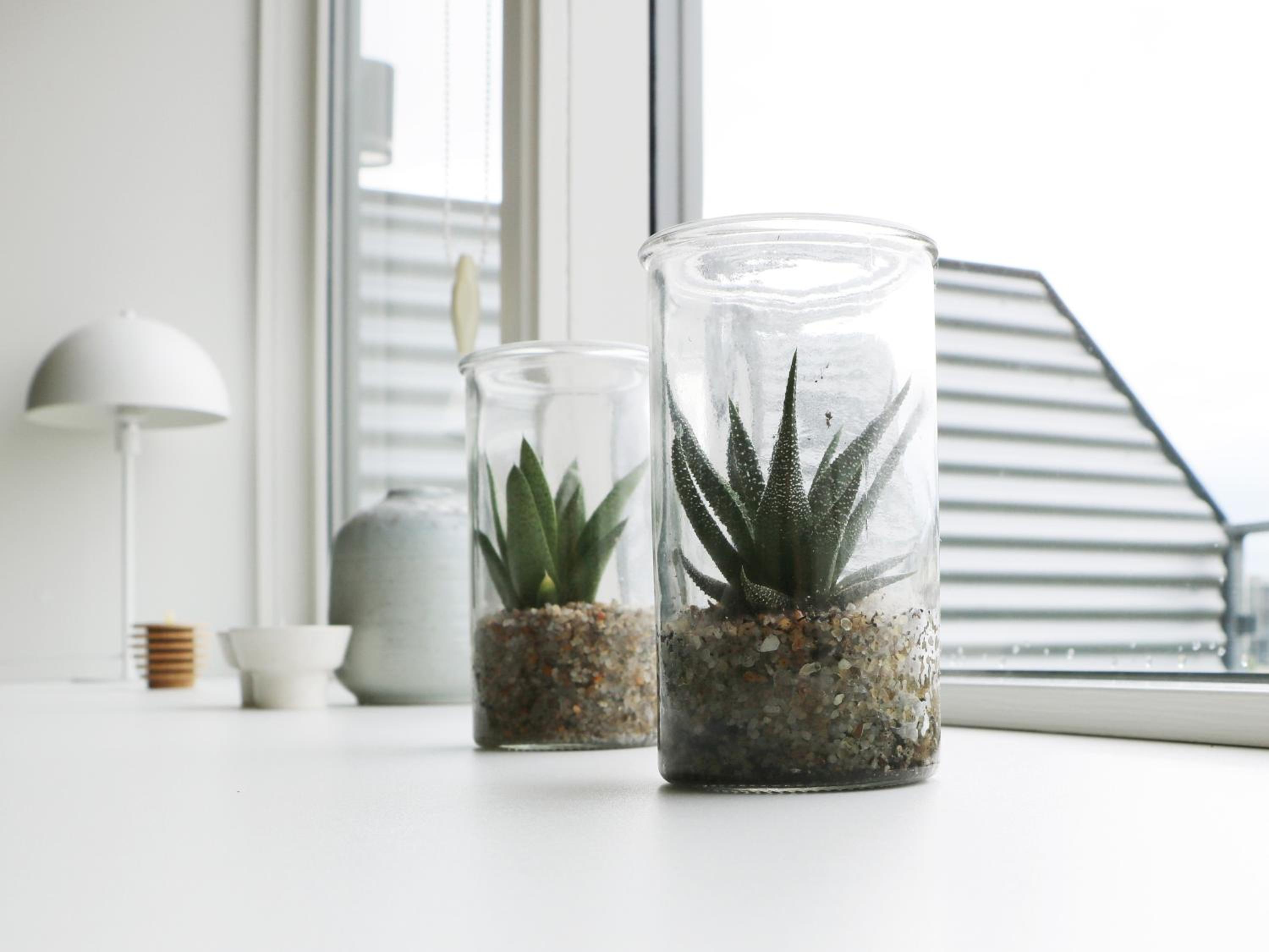 athome apartments