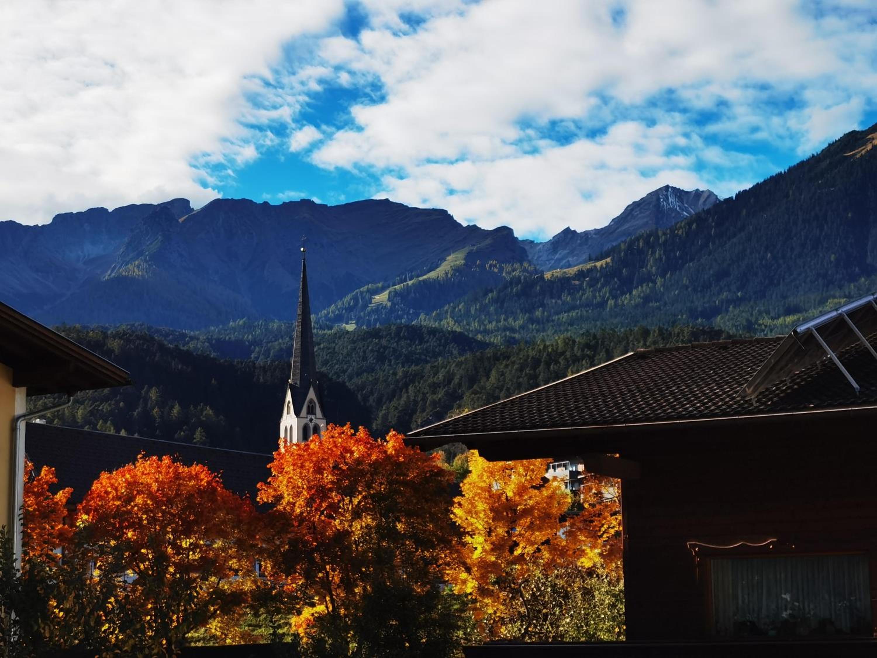 Alpenblume