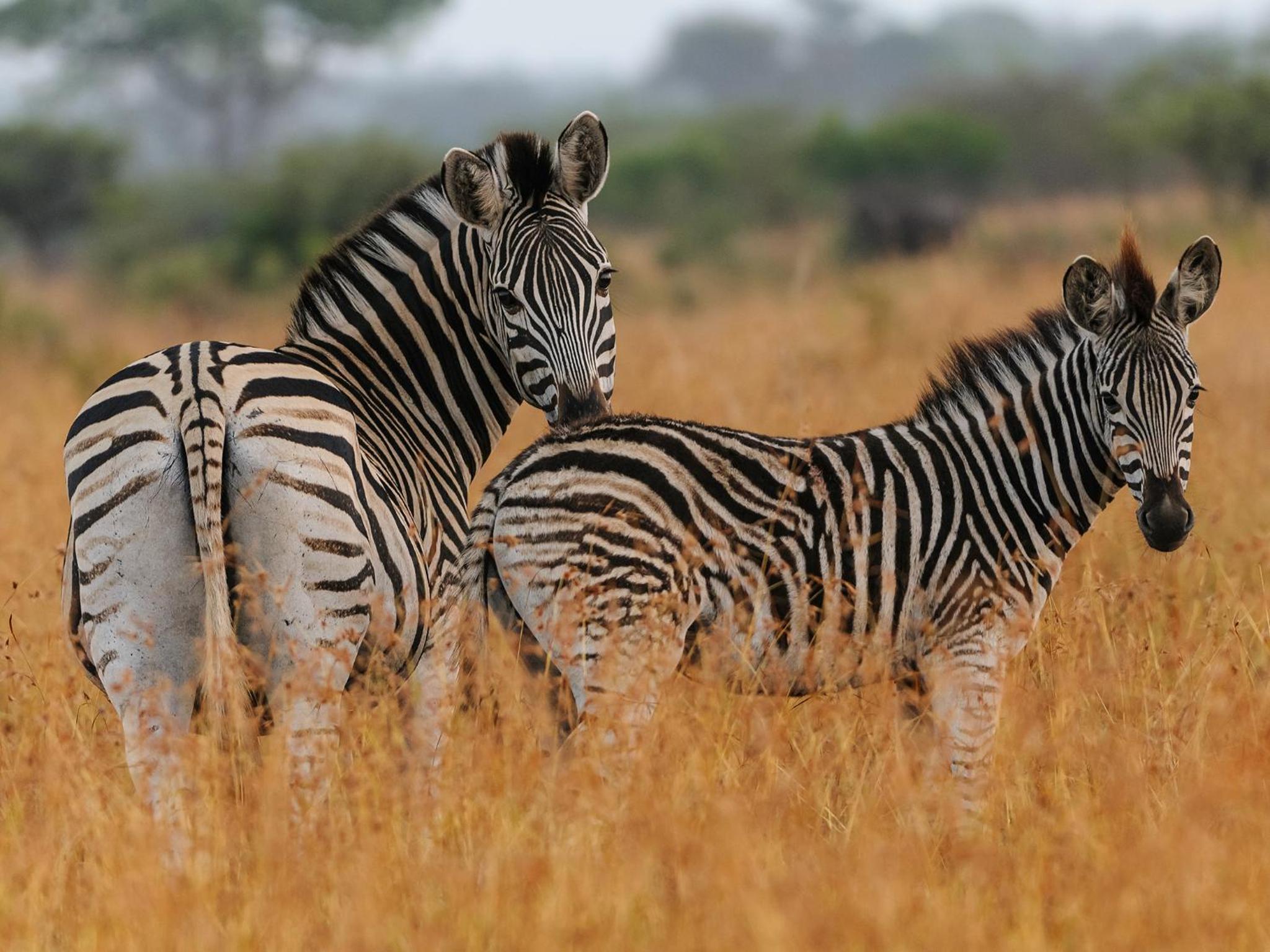 Waterberg Game Park
