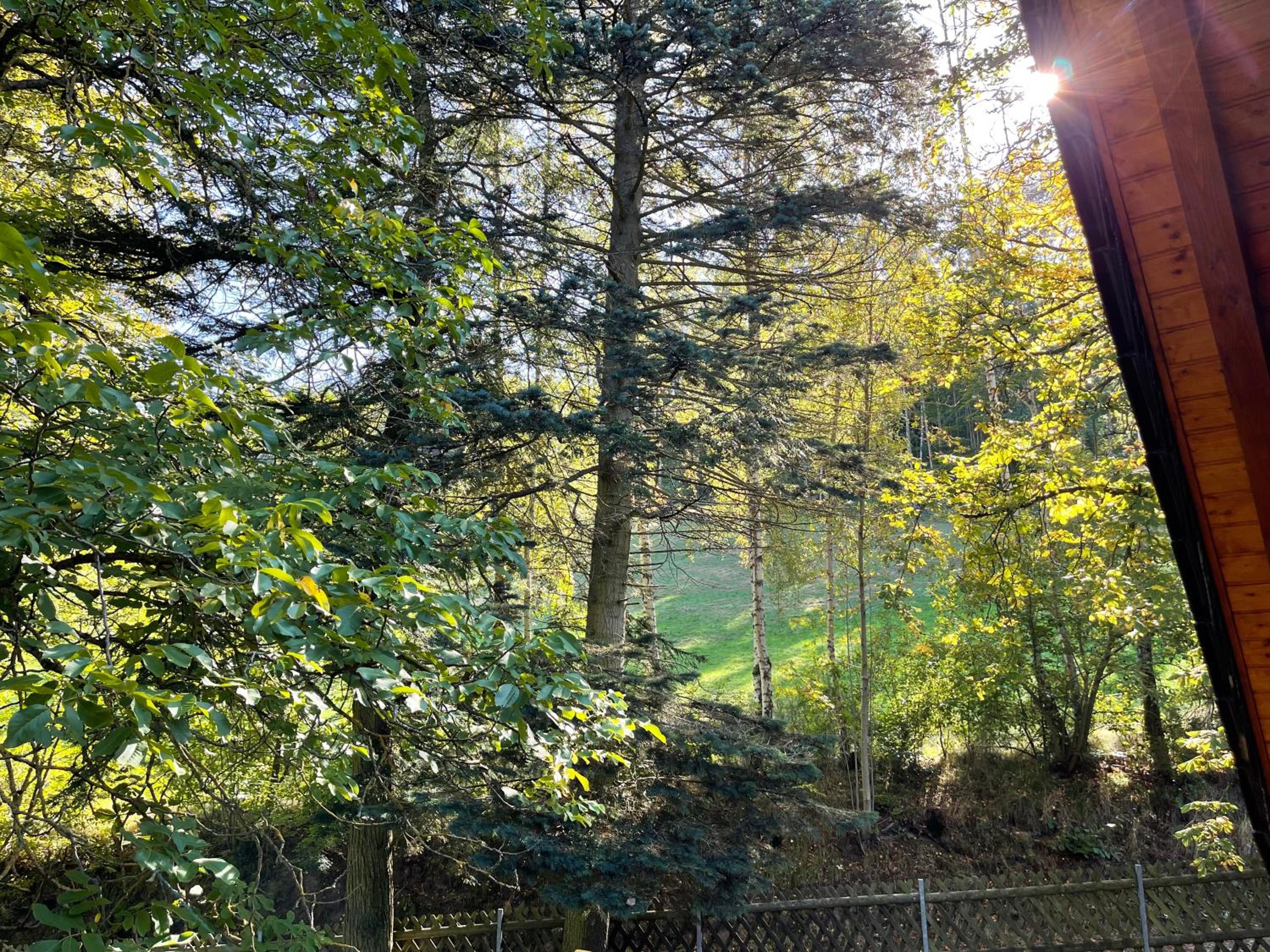 Apartment im Wald - mit Schwimmbad! - Property Image 21