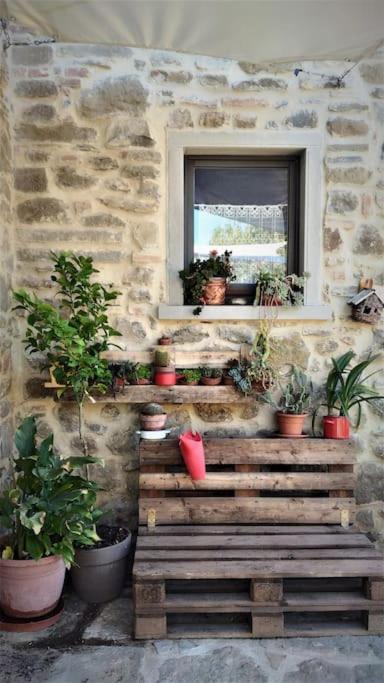 Casa Matta
