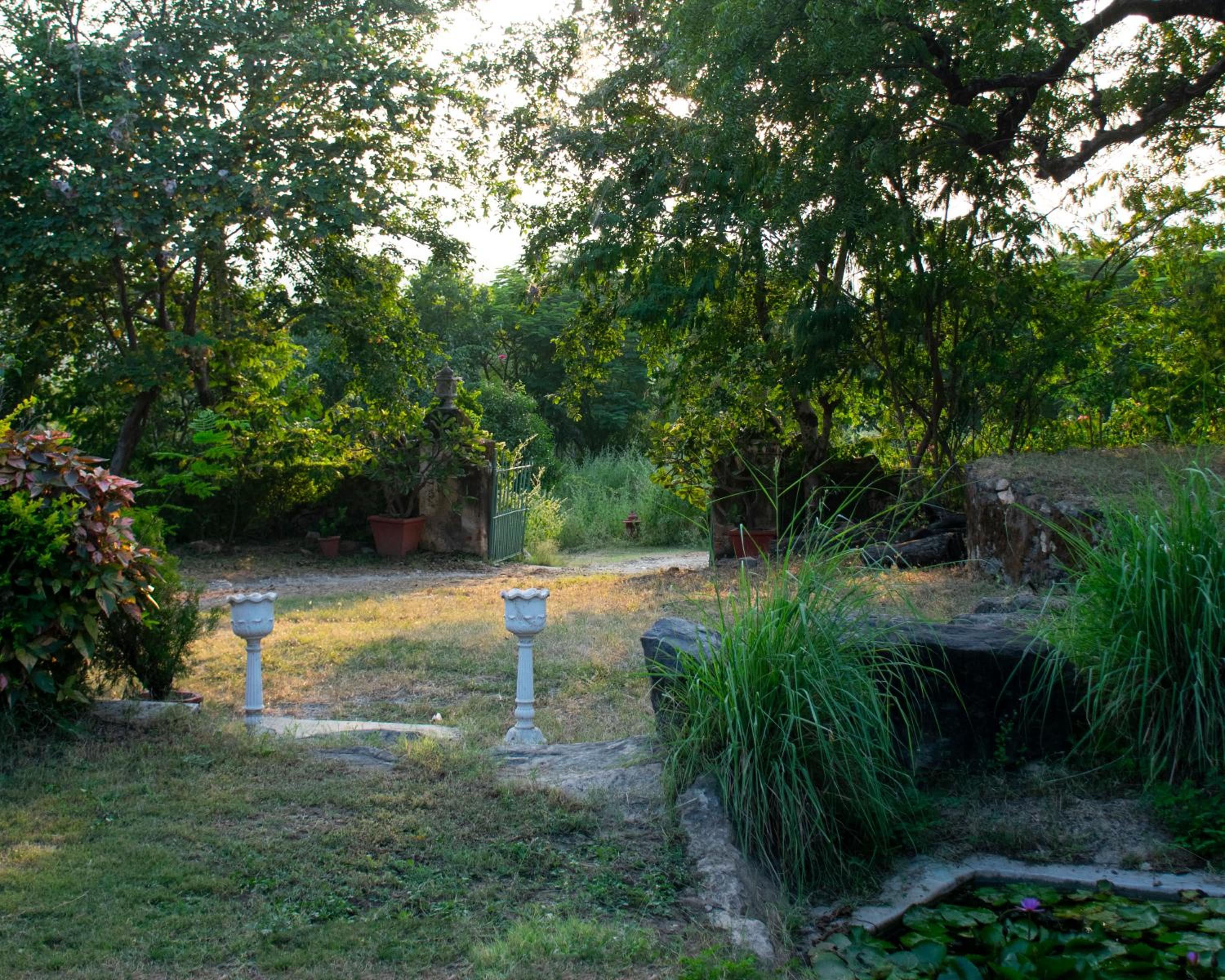 Udaipur Vacations - Titardi Garh- 18th Century Castle Homestay - Property Image 36