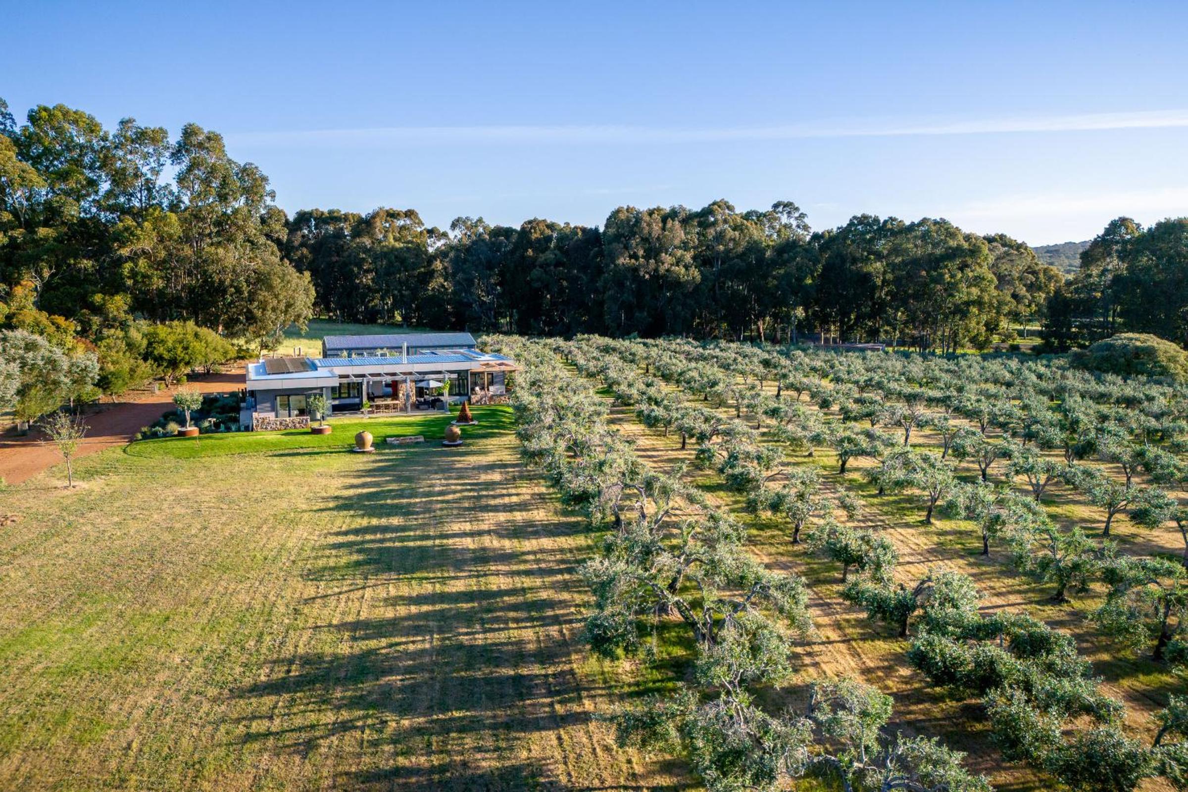 Ginahgulla Olive Estate I Private Properties