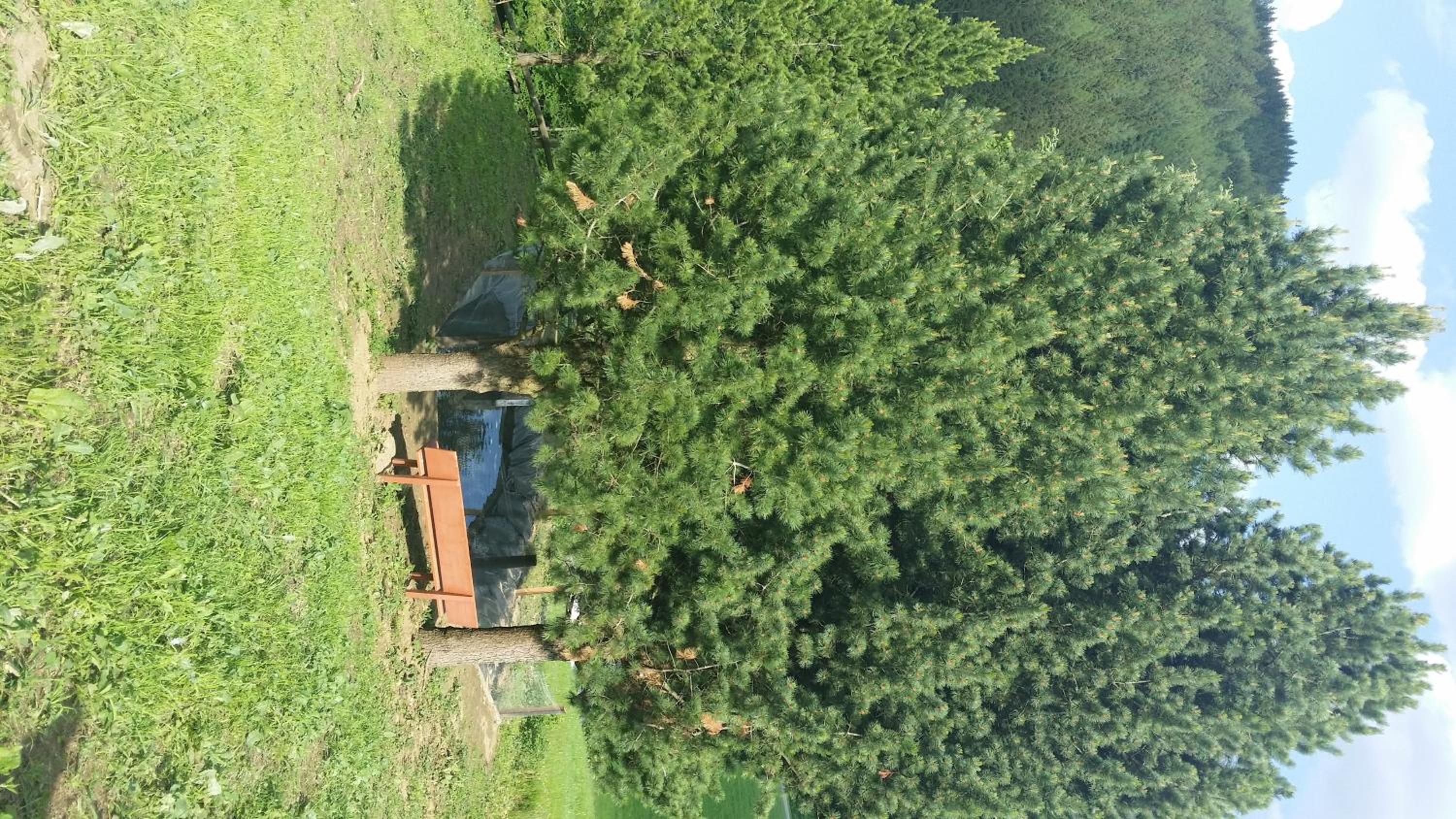 Baumgartner - Bauernhaus