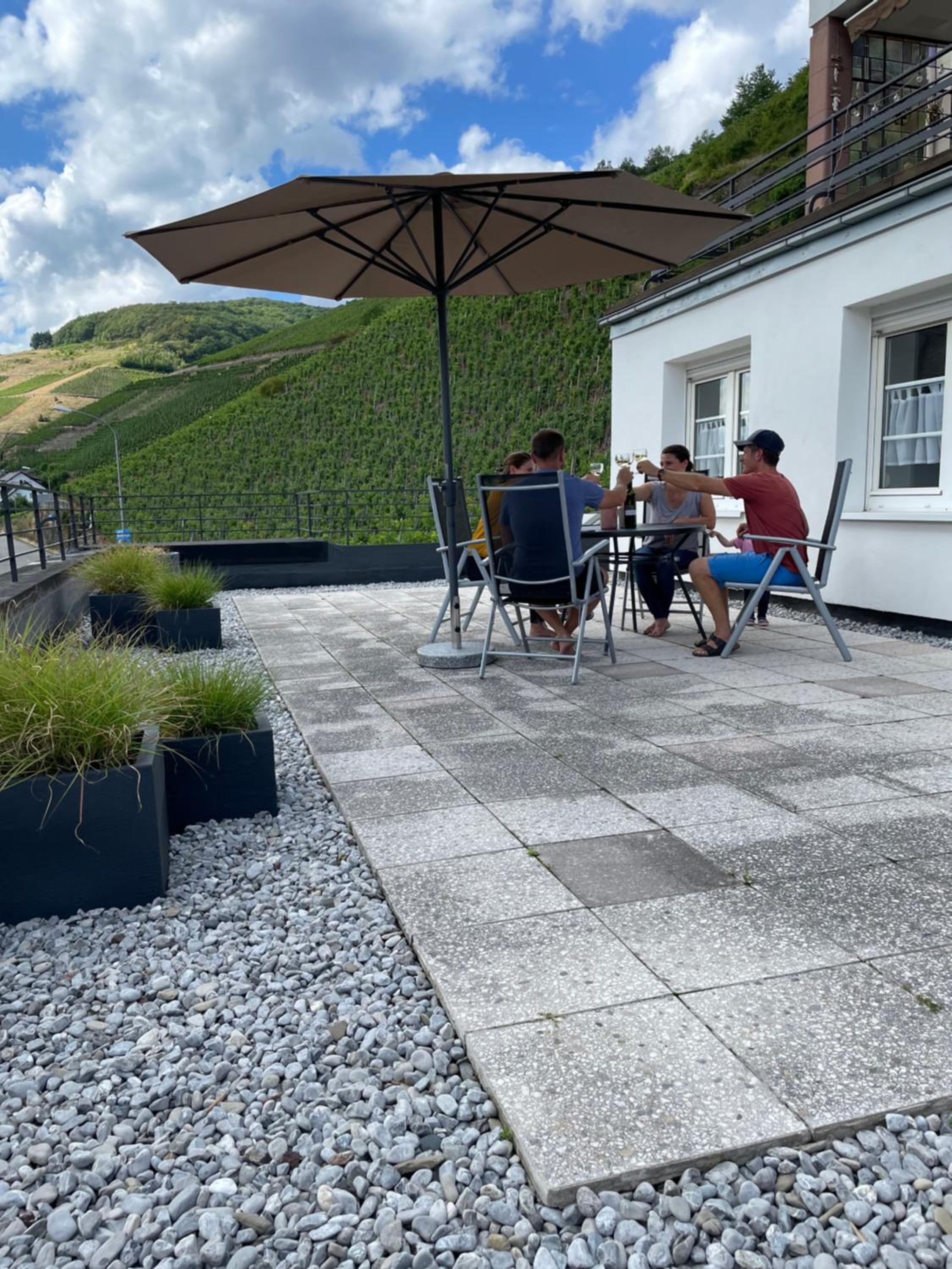 The Vineyard View