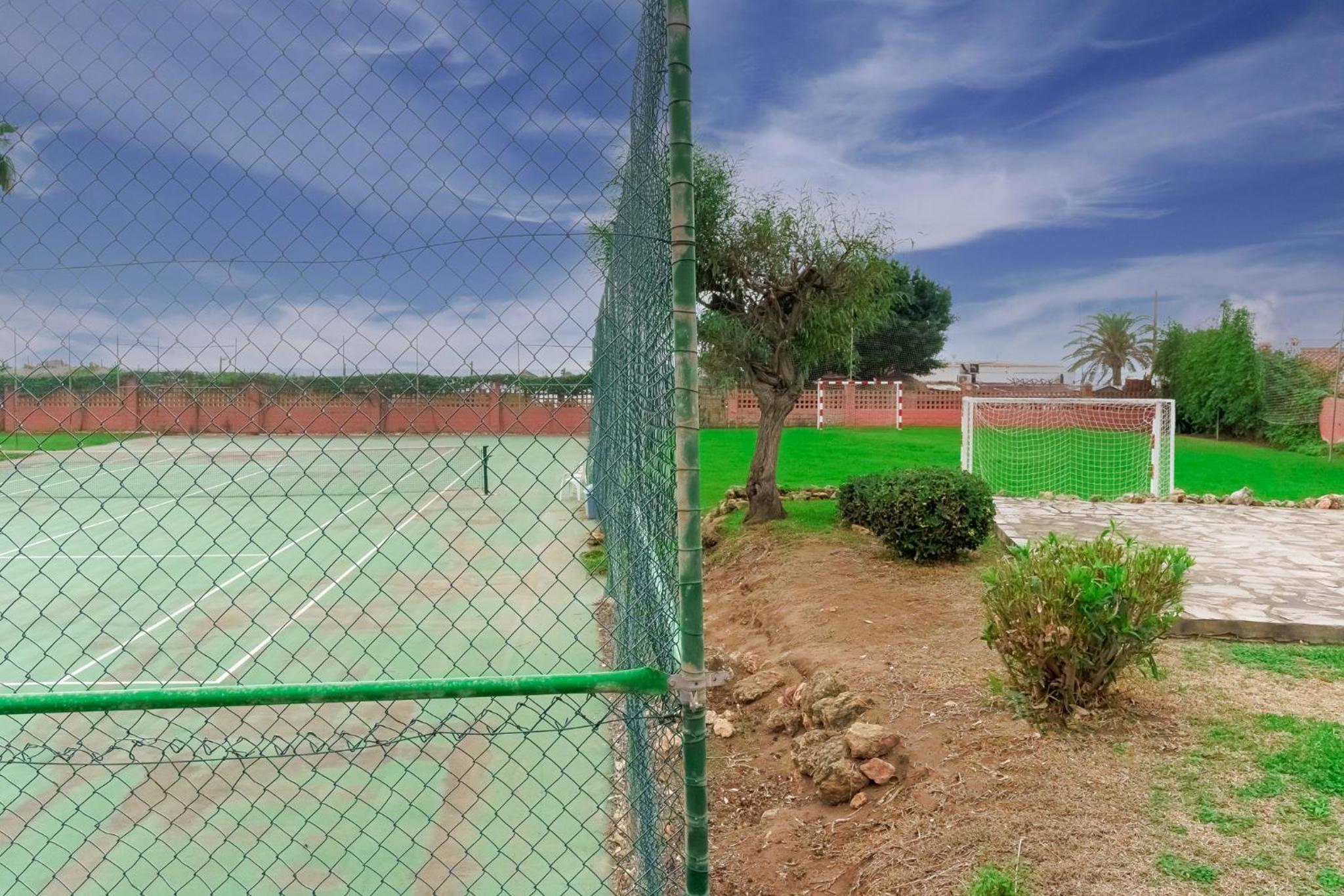 Photo 40