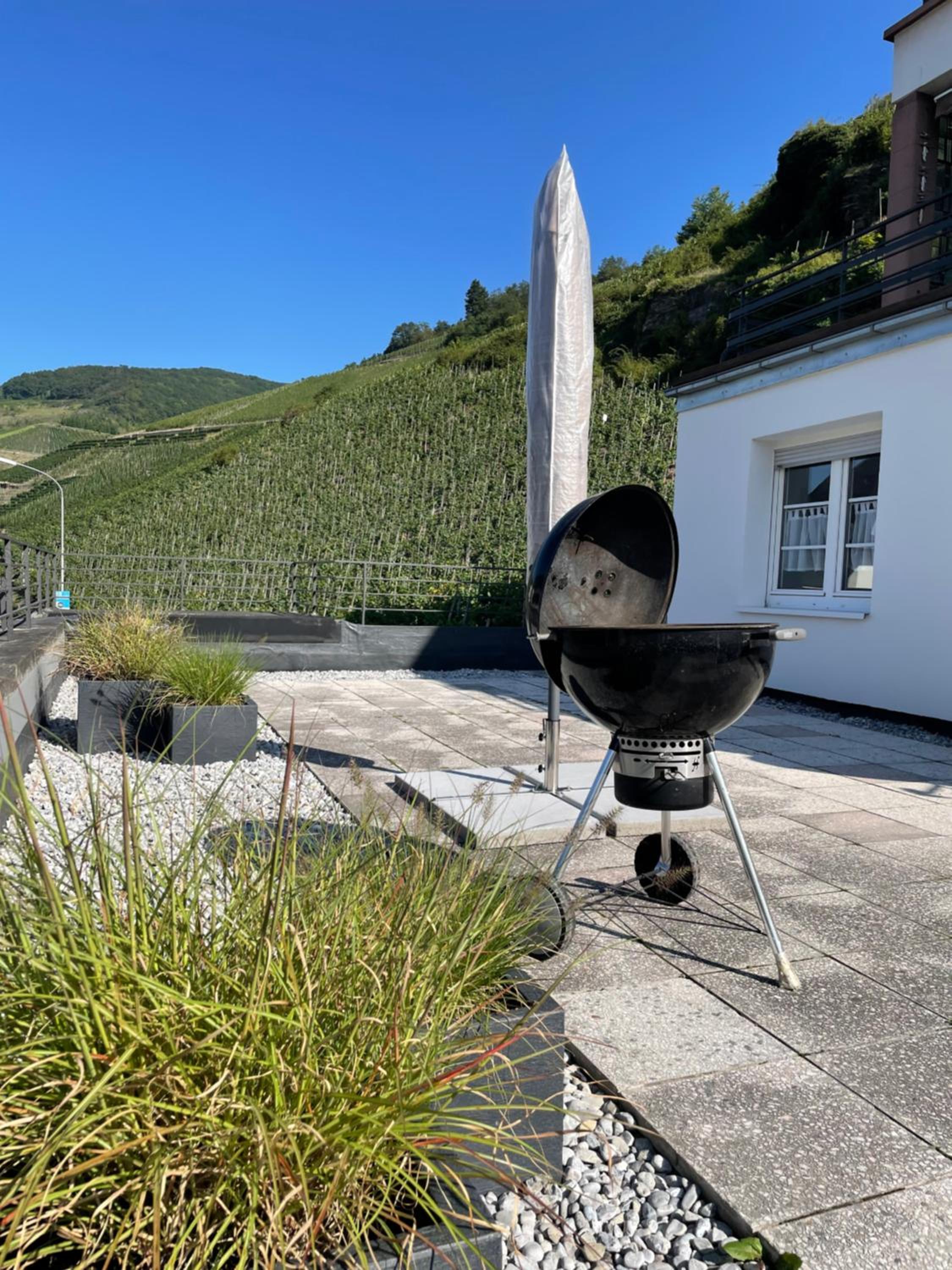 The Vineyard View