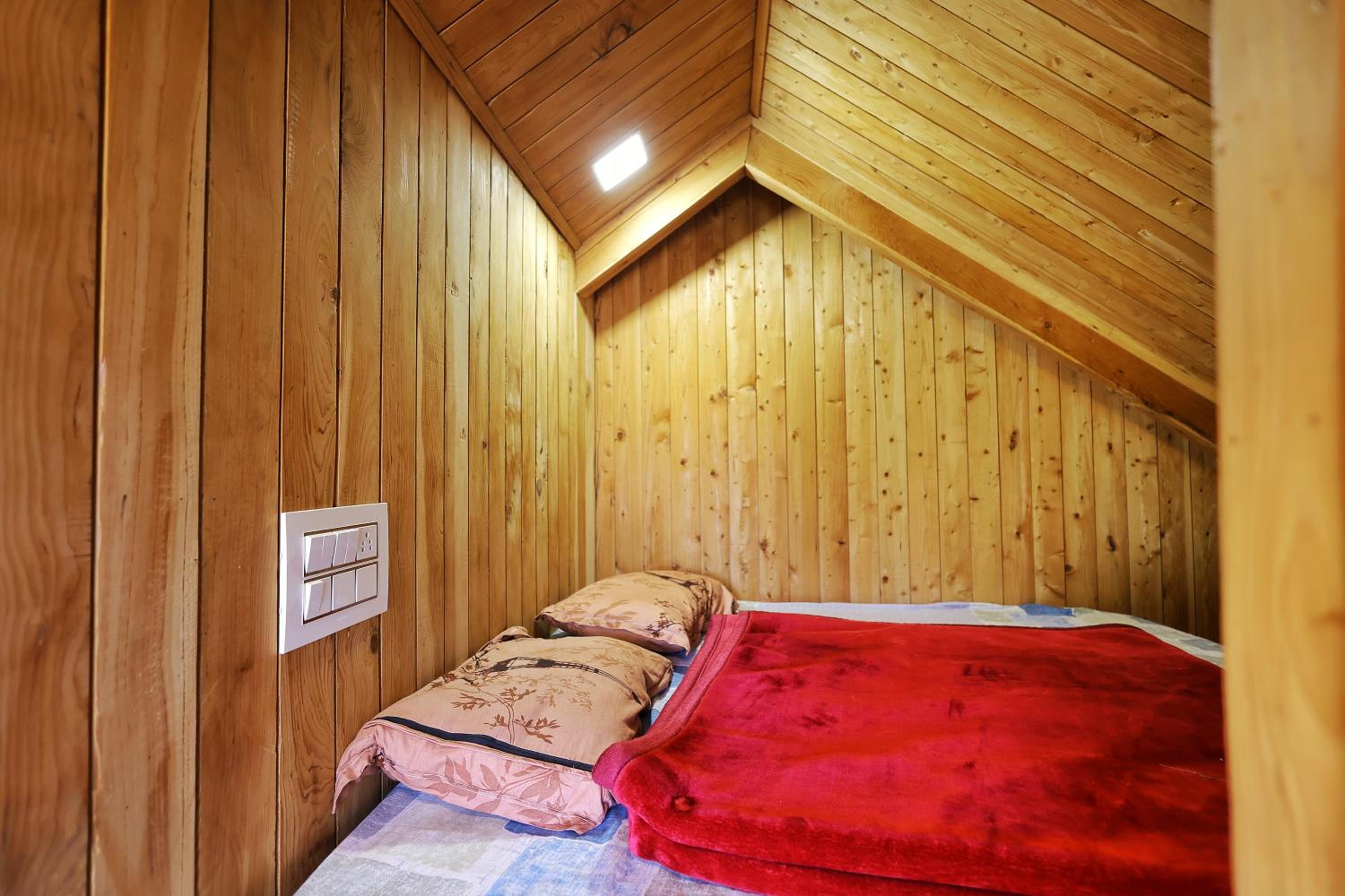 Himalayan Cedar Nest