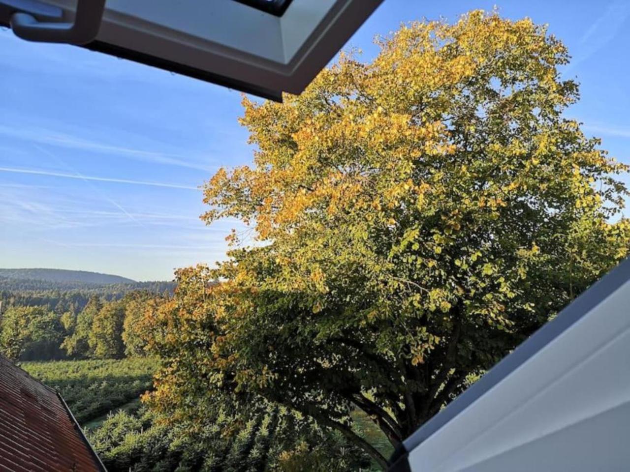 Grüne Oase im Teutoburger Wald
