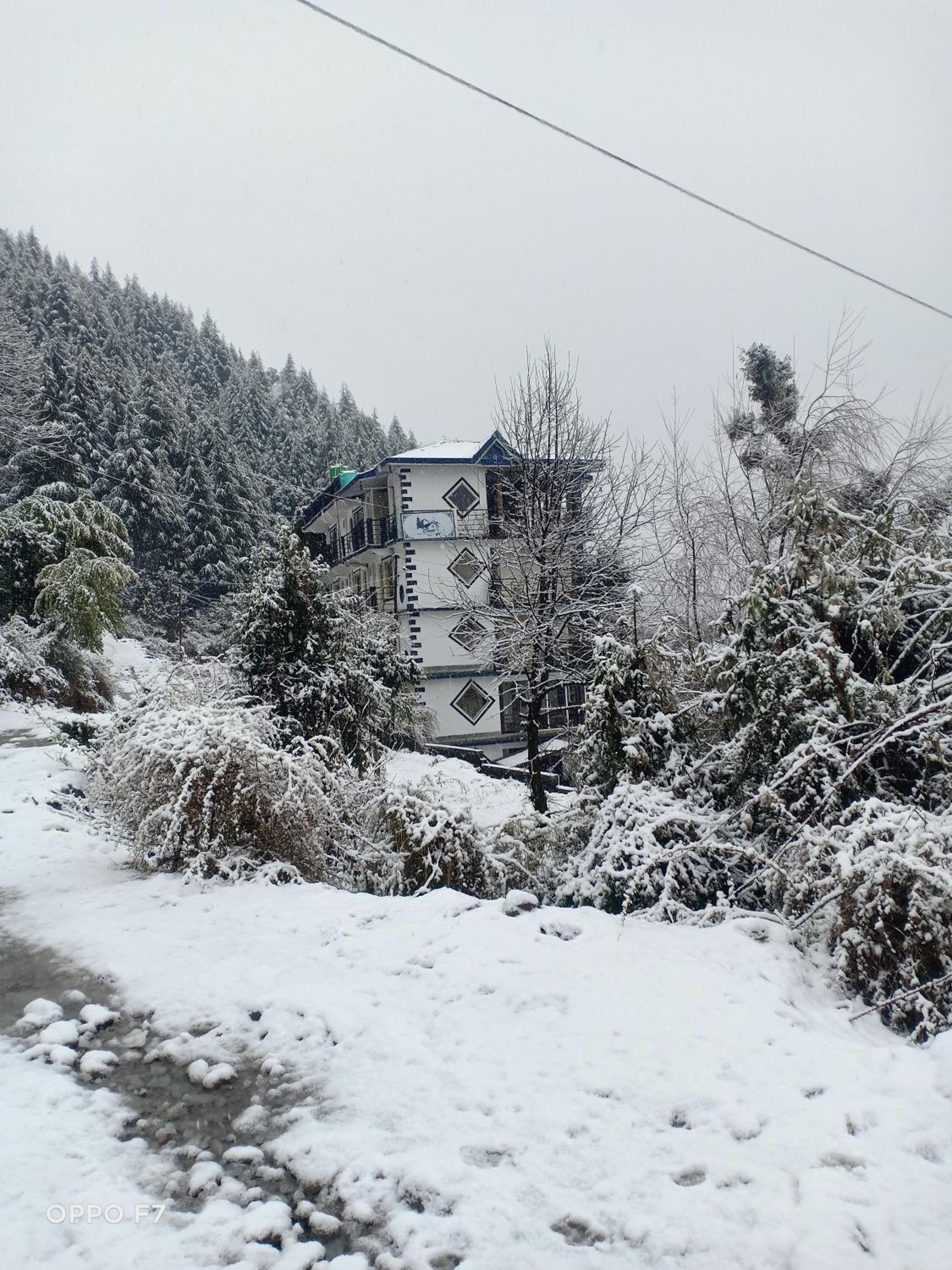Oasis Guest House Bhagsu D'shala