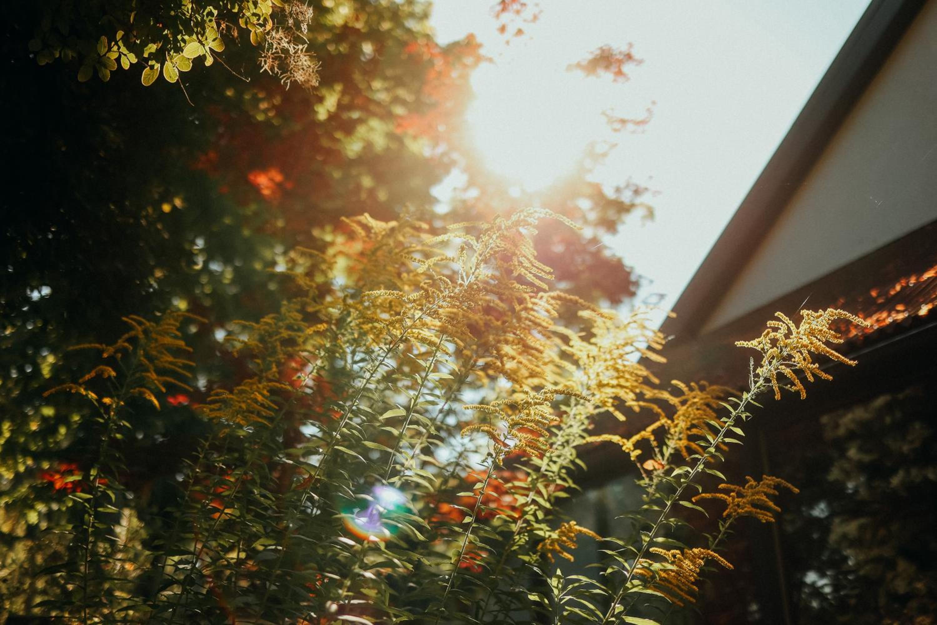 Photo 40