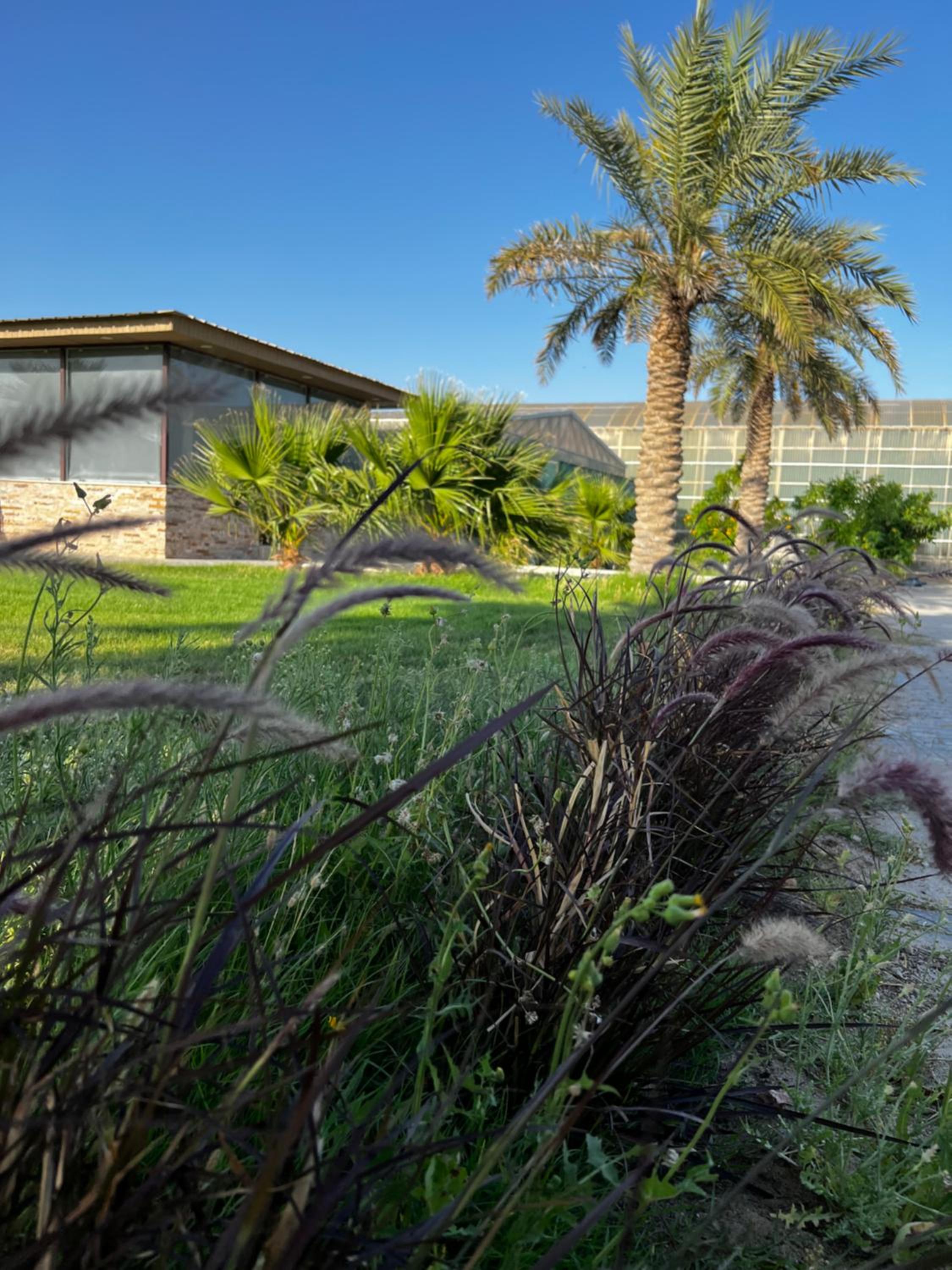 zainahfarm