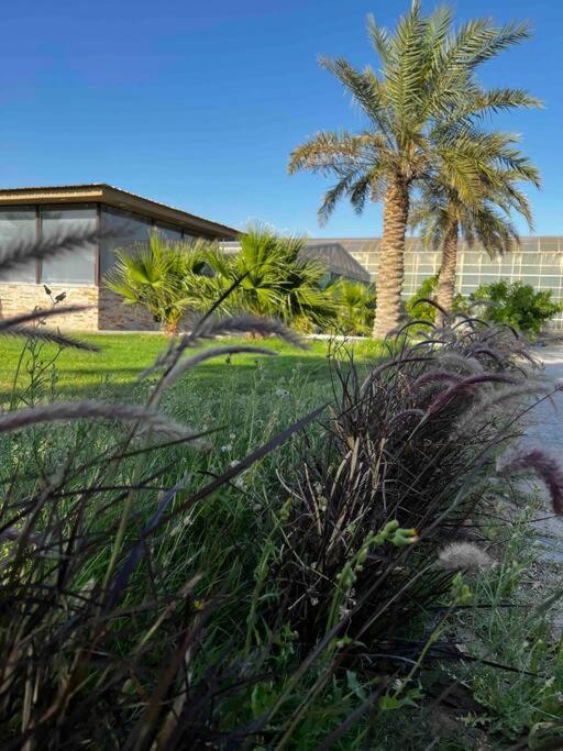 zainahfarm
