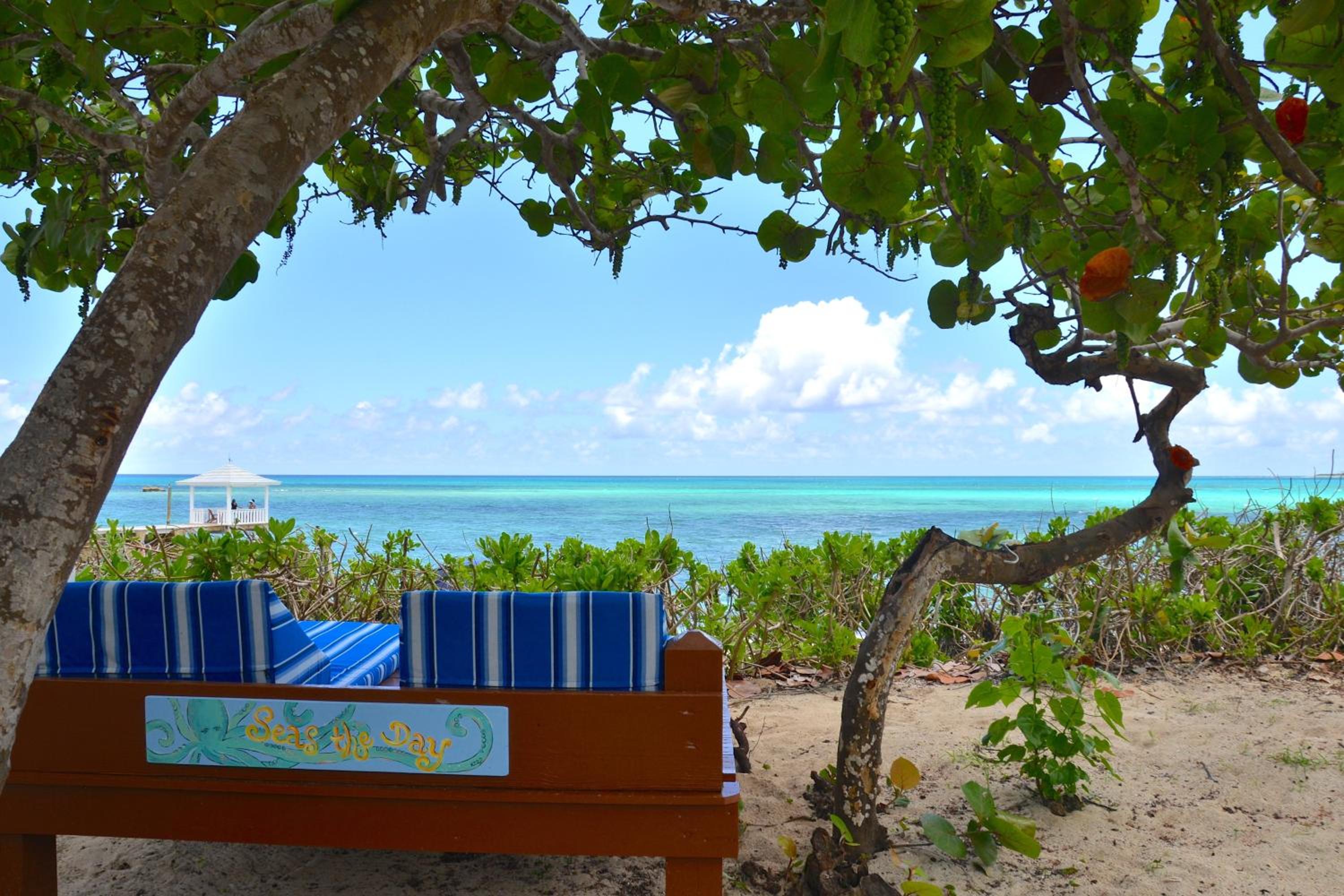 Photo 23 sur 58 de Sandyport Beach Resort