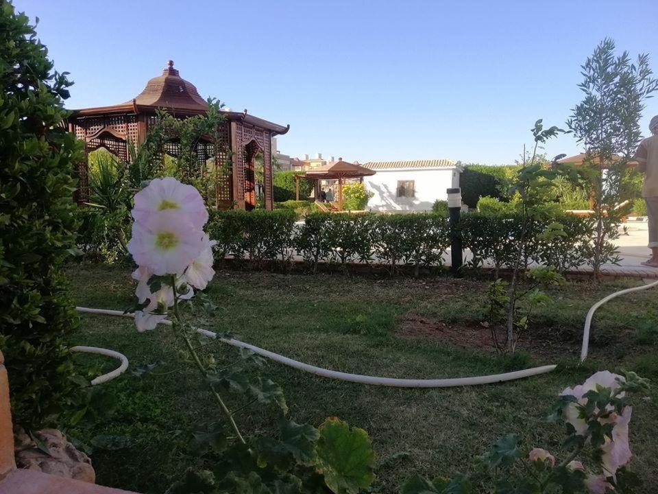 villa in heart of hurgada view 5