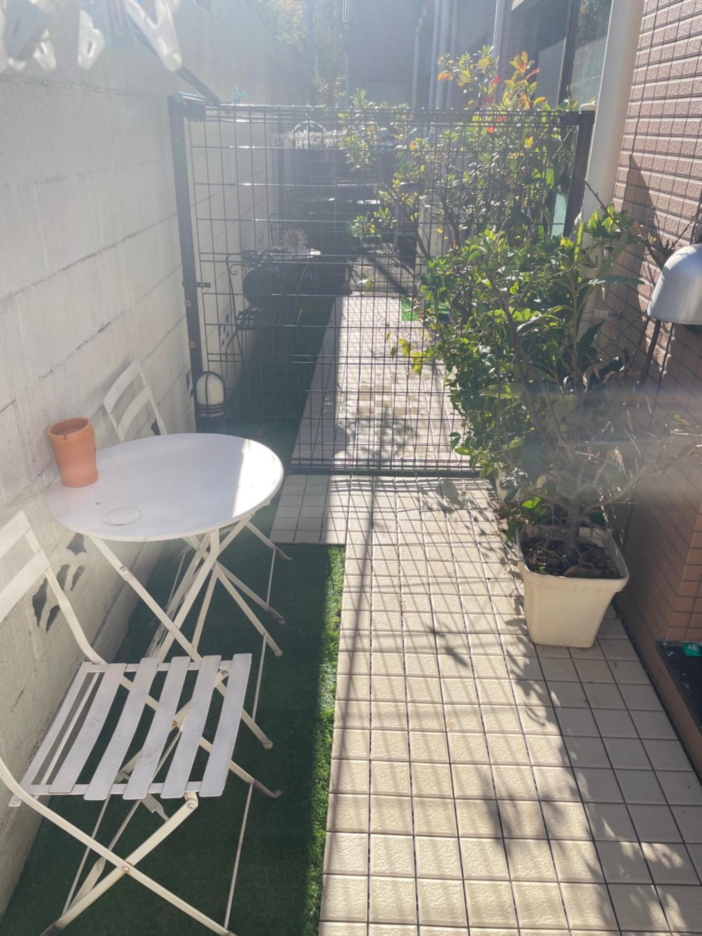 東洋の家-26 square meter Treadmi Garden House101