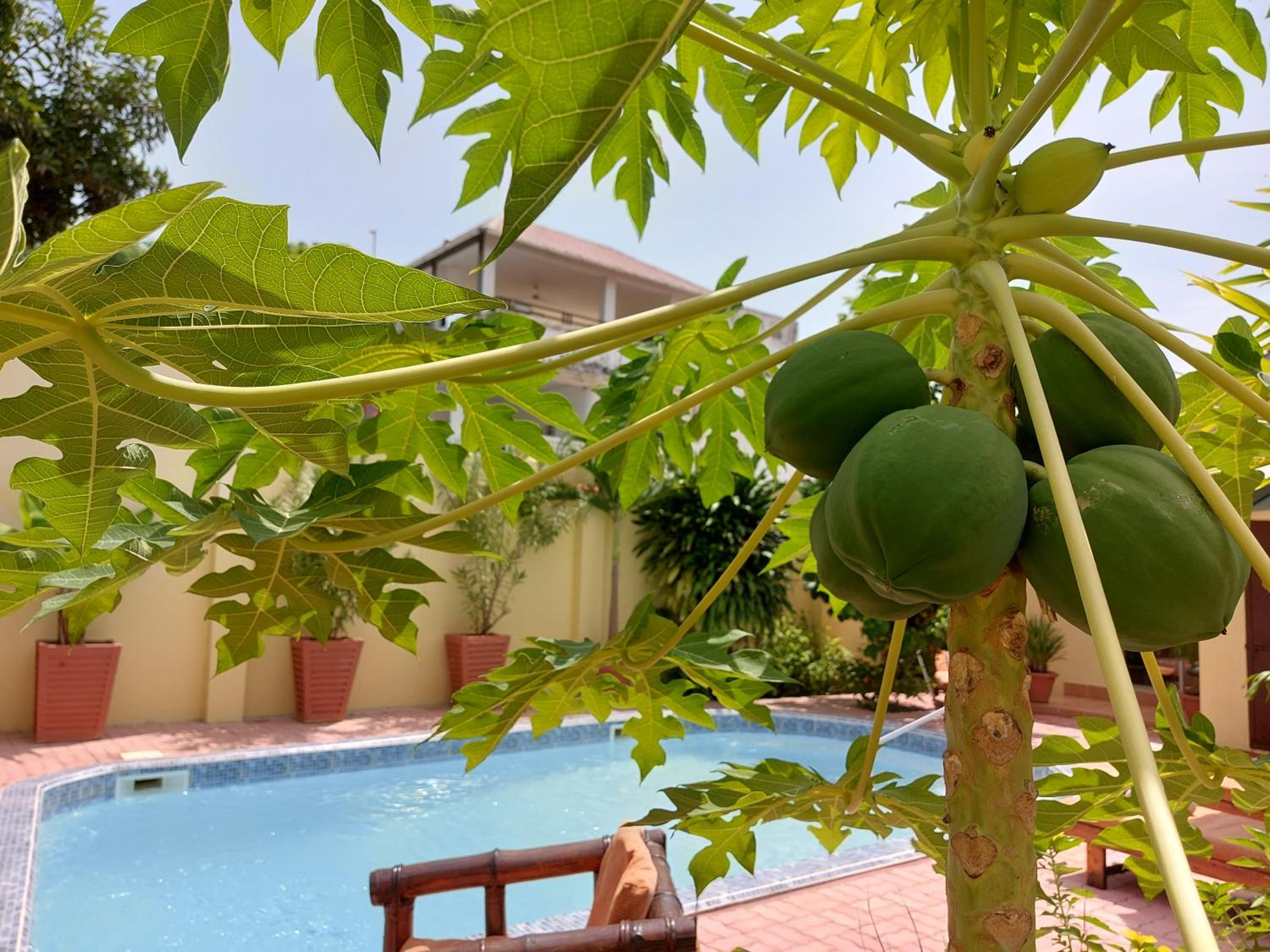 Bougainvillea House