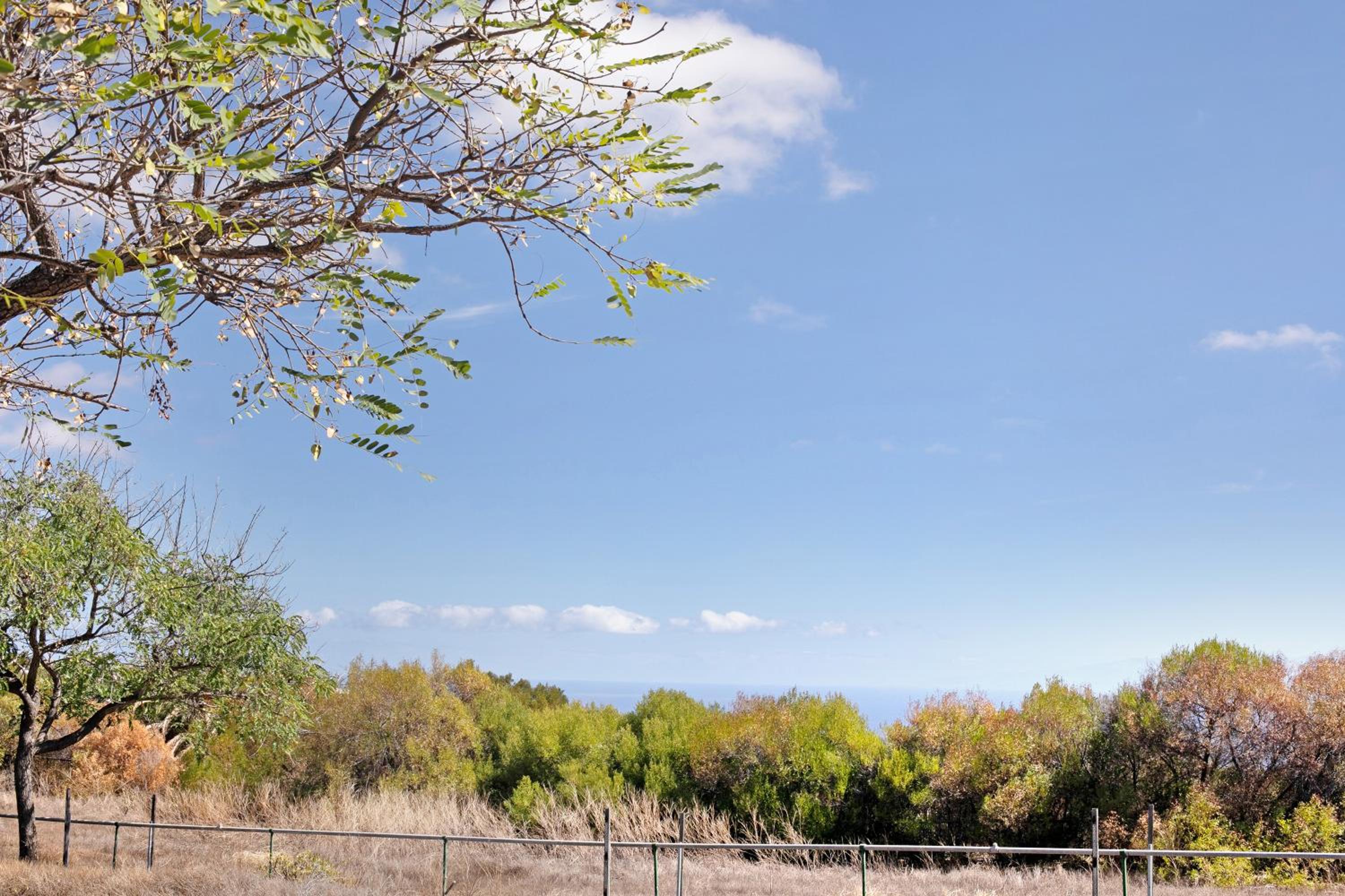 Finca Wayra Wasi