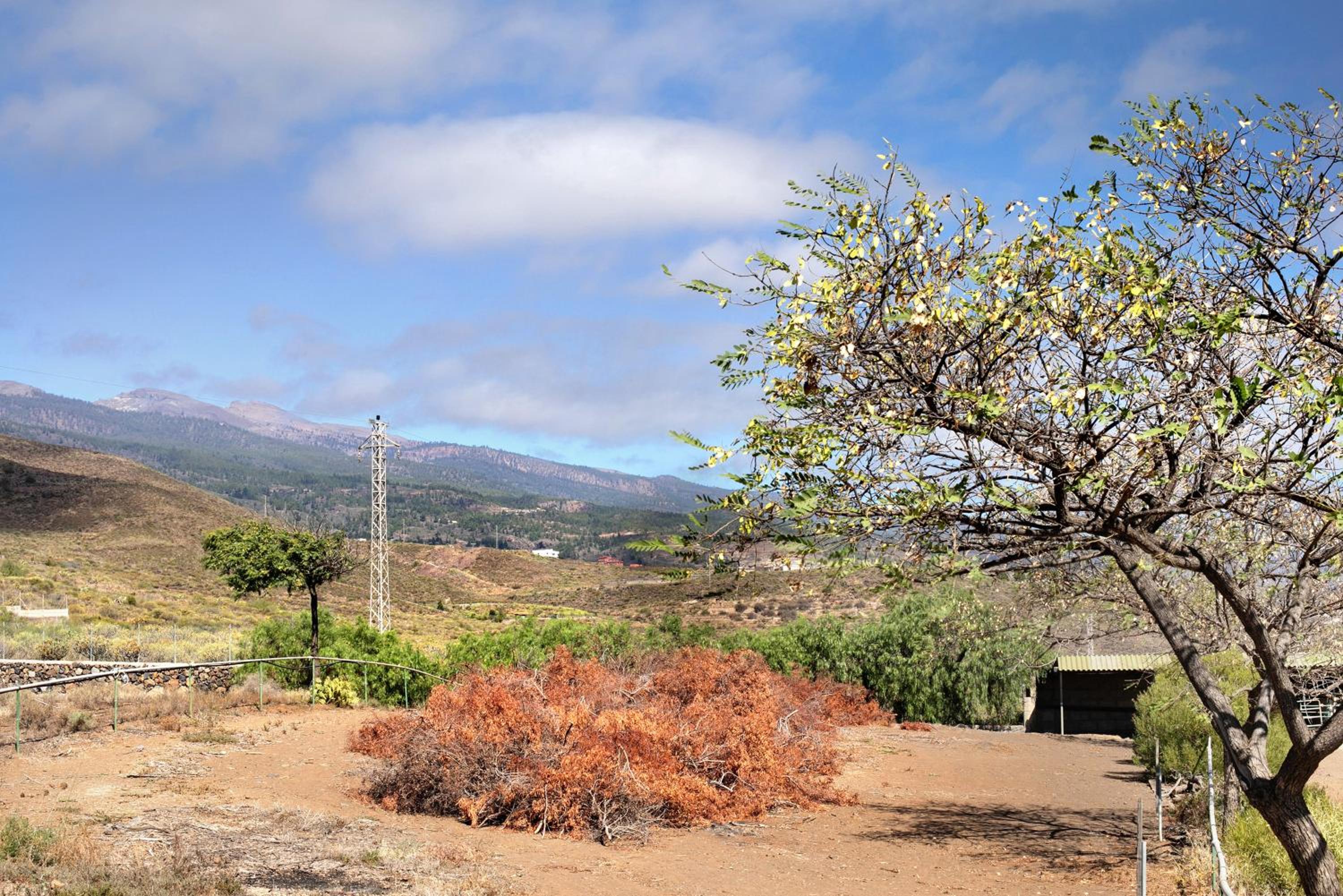 Finca Wayra Wasi