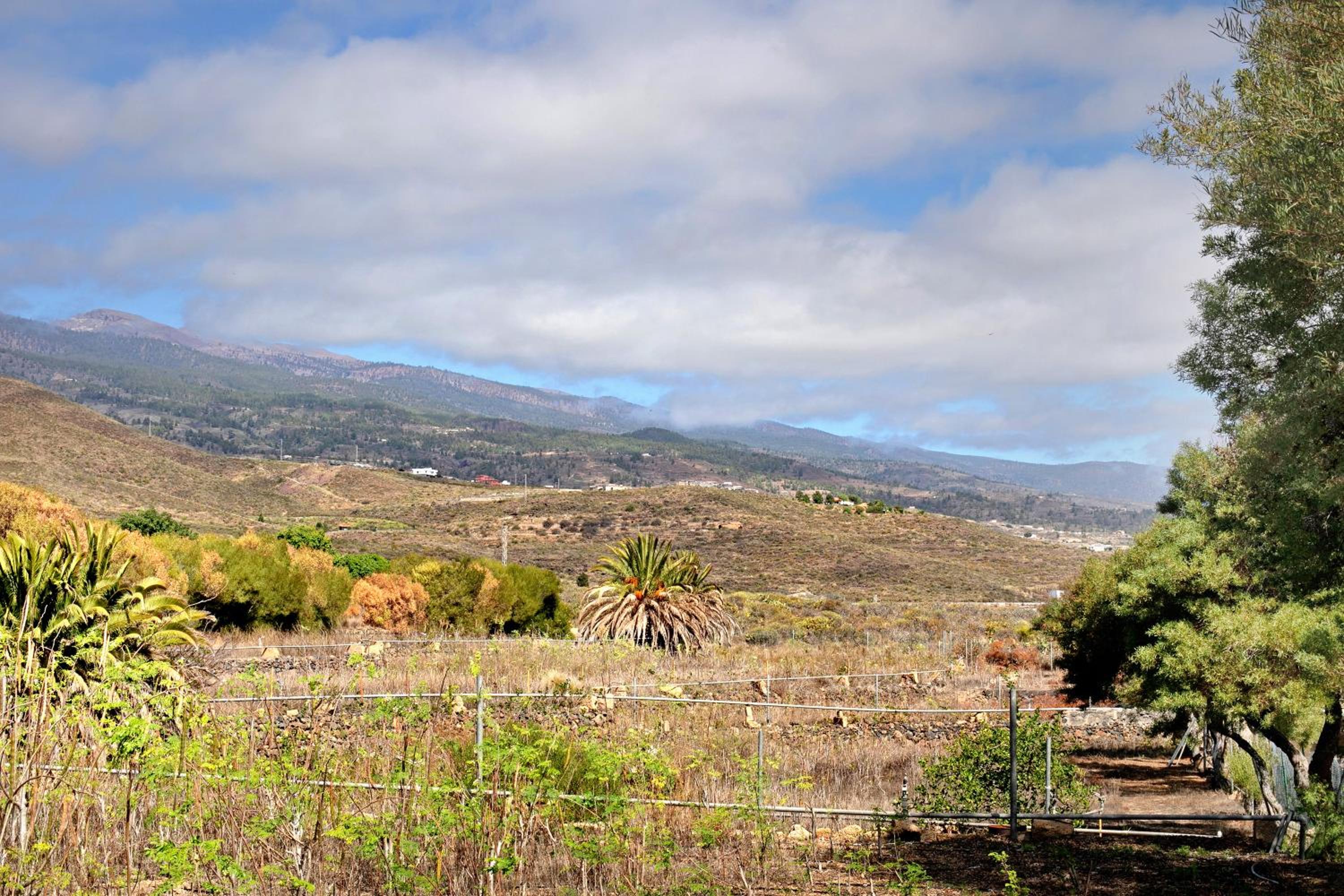 Finca Wayra Wasi