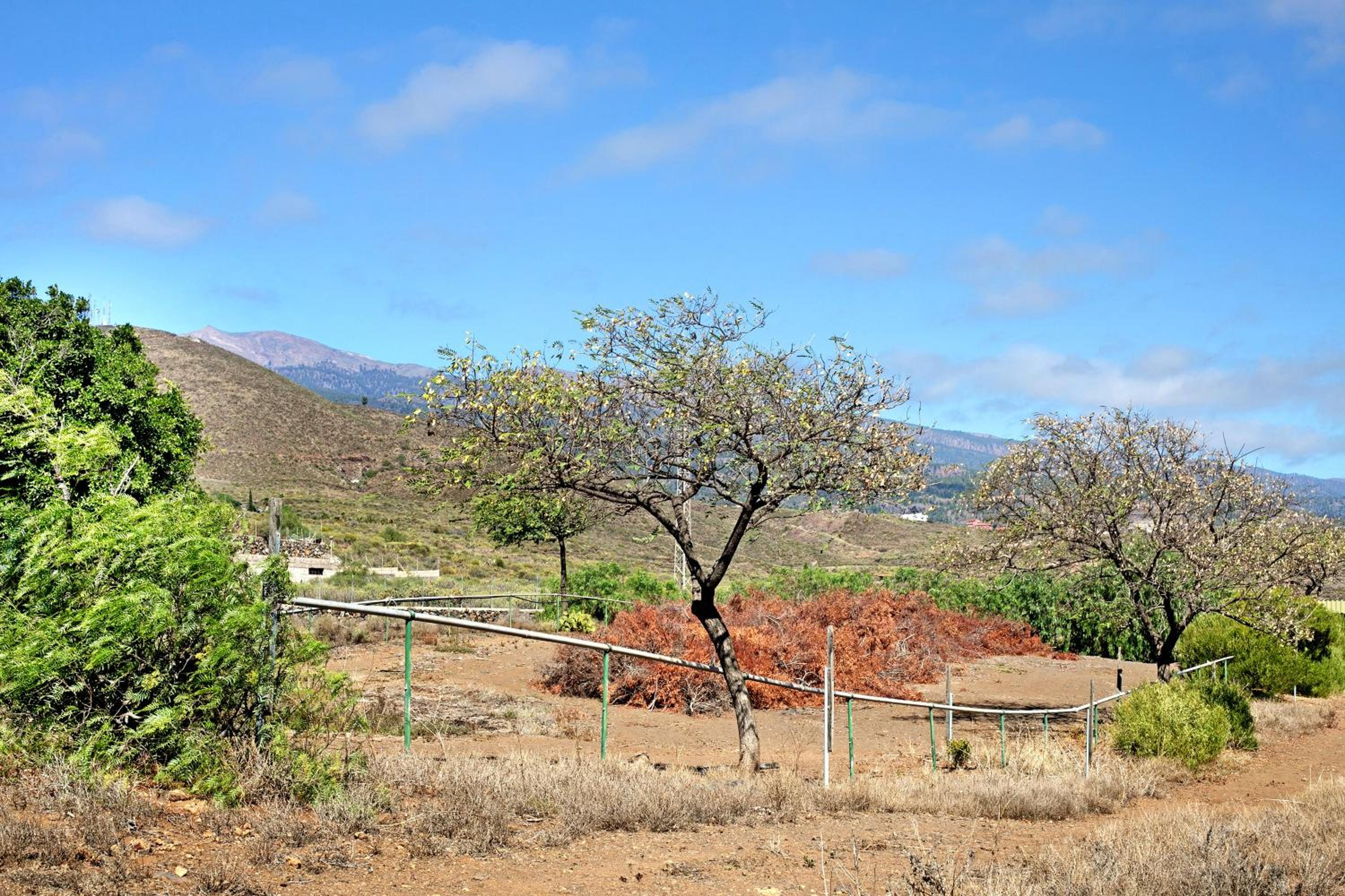 Finca Wayra Wasi
