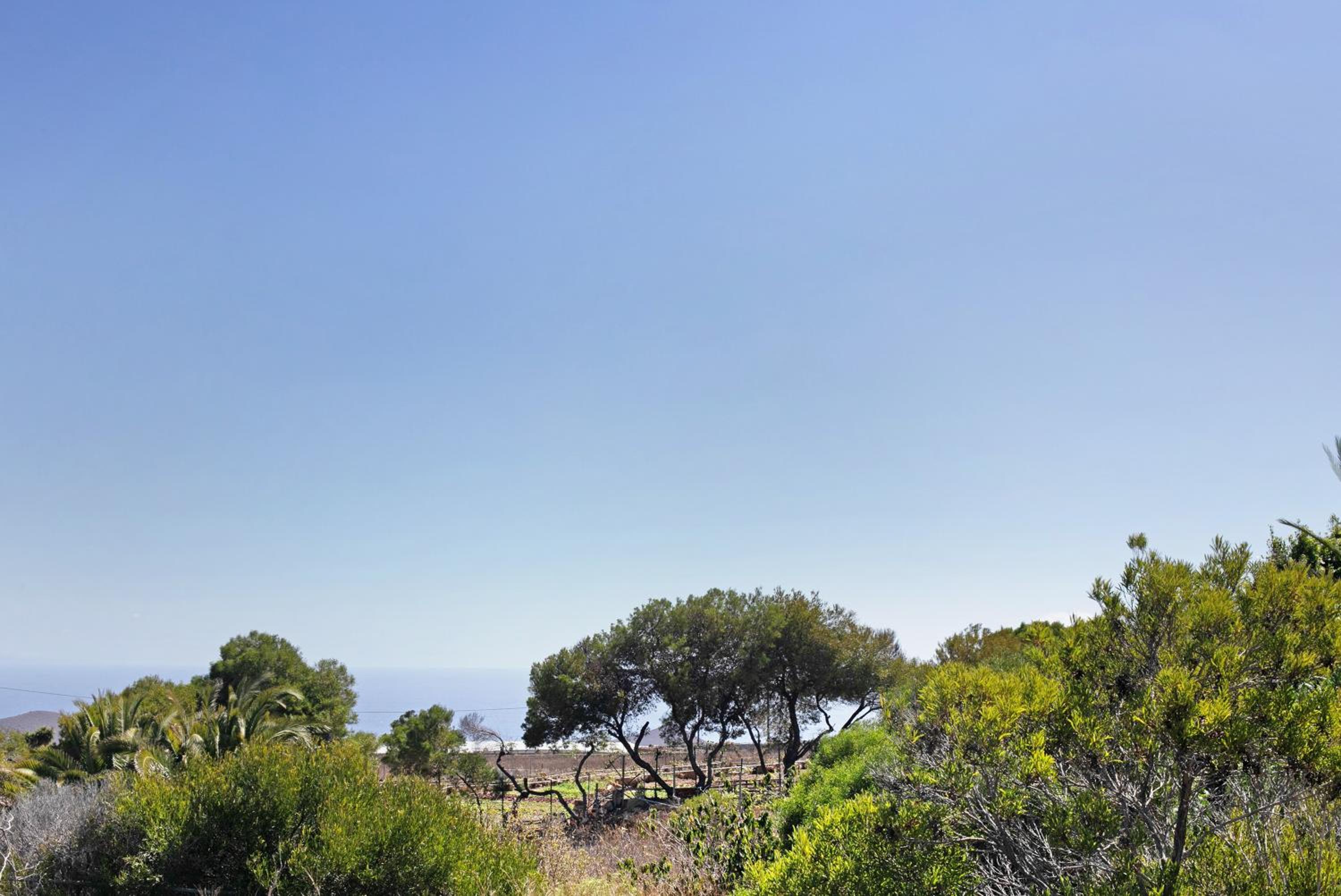 Finca Wayra Wasi