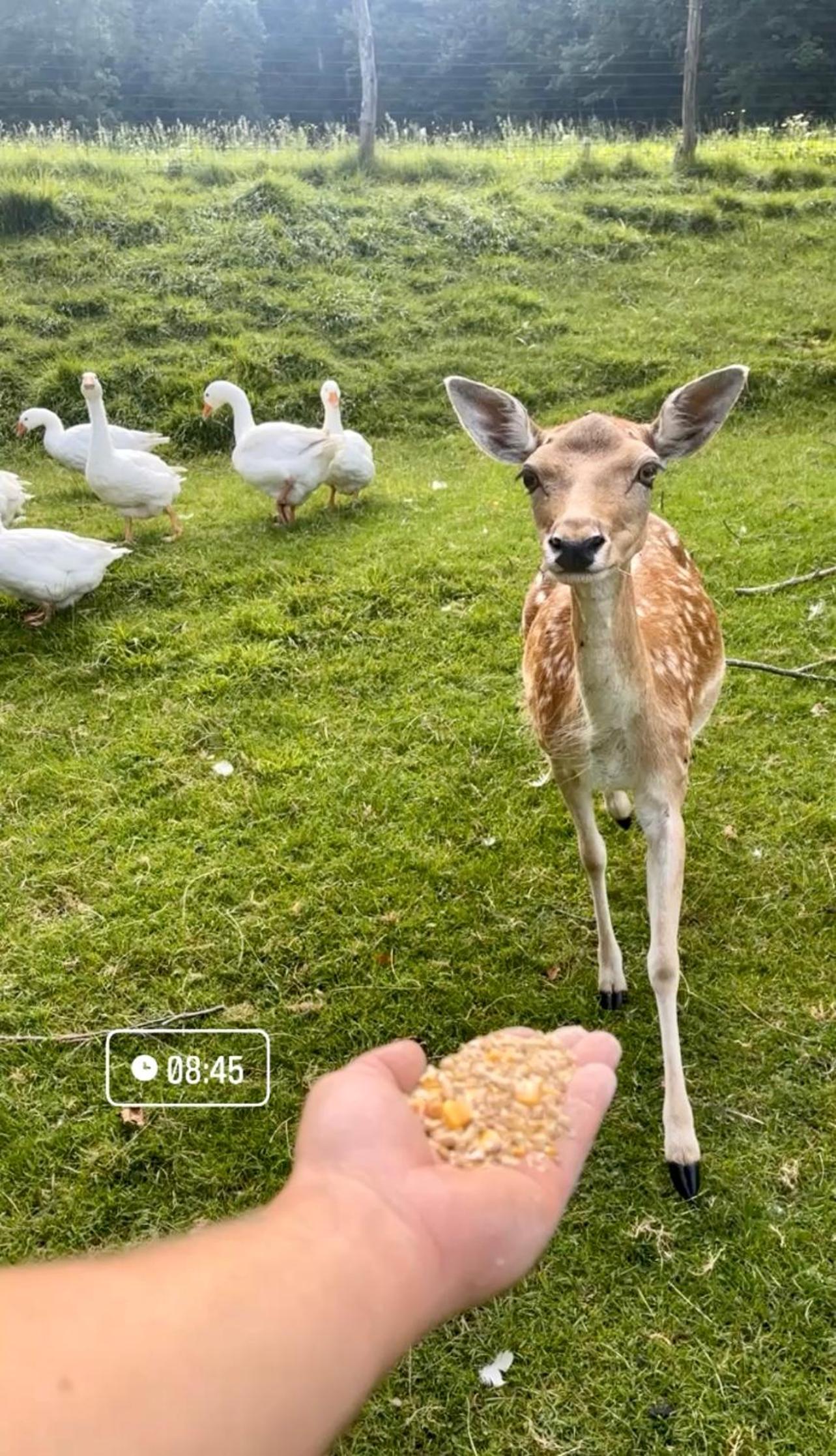 Boutique Farm Hrovat